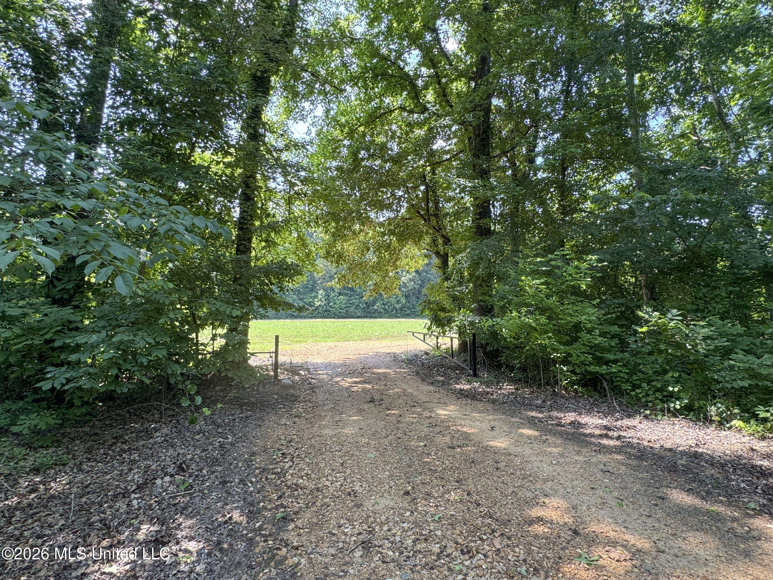 884 Avant Road Property Photo 69