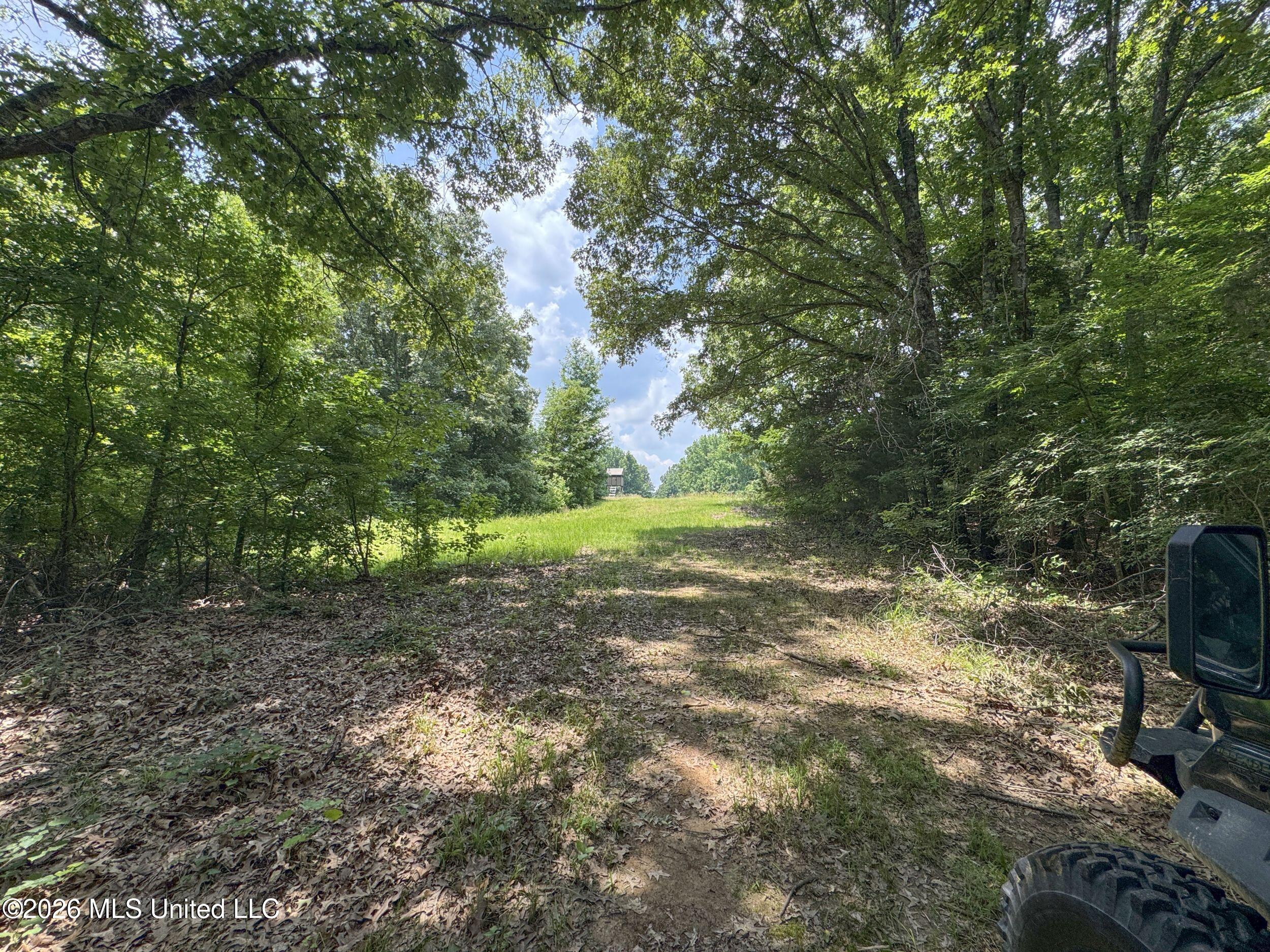 884 Avant Road Property Photo 101