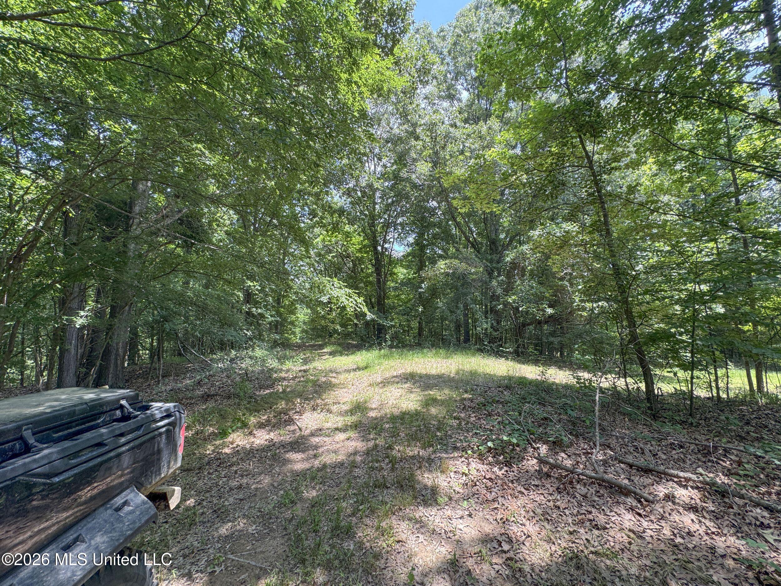 884 Avant Road Property Photo 102