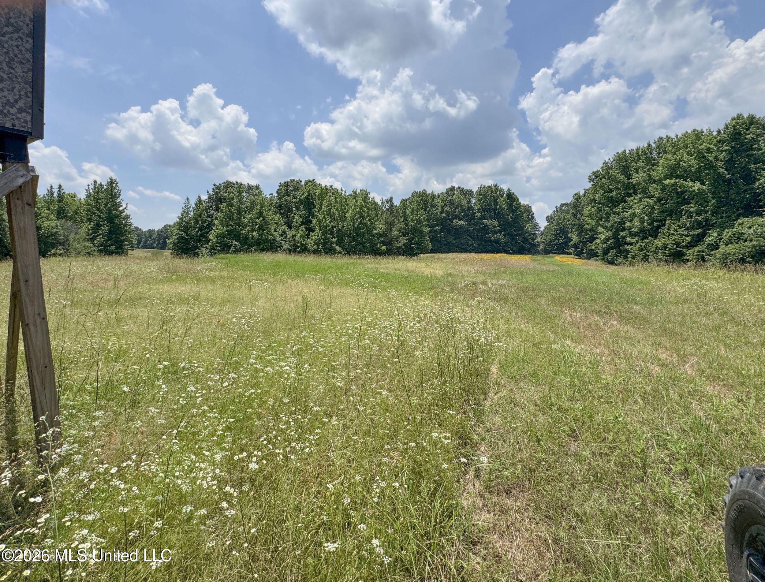 884 Avant Road Property Photo 103