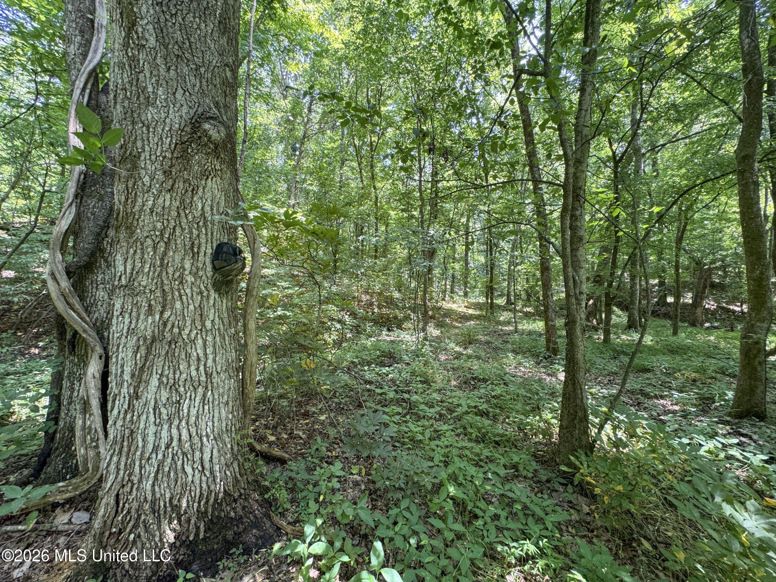 884 Avant Road Property Photo 105