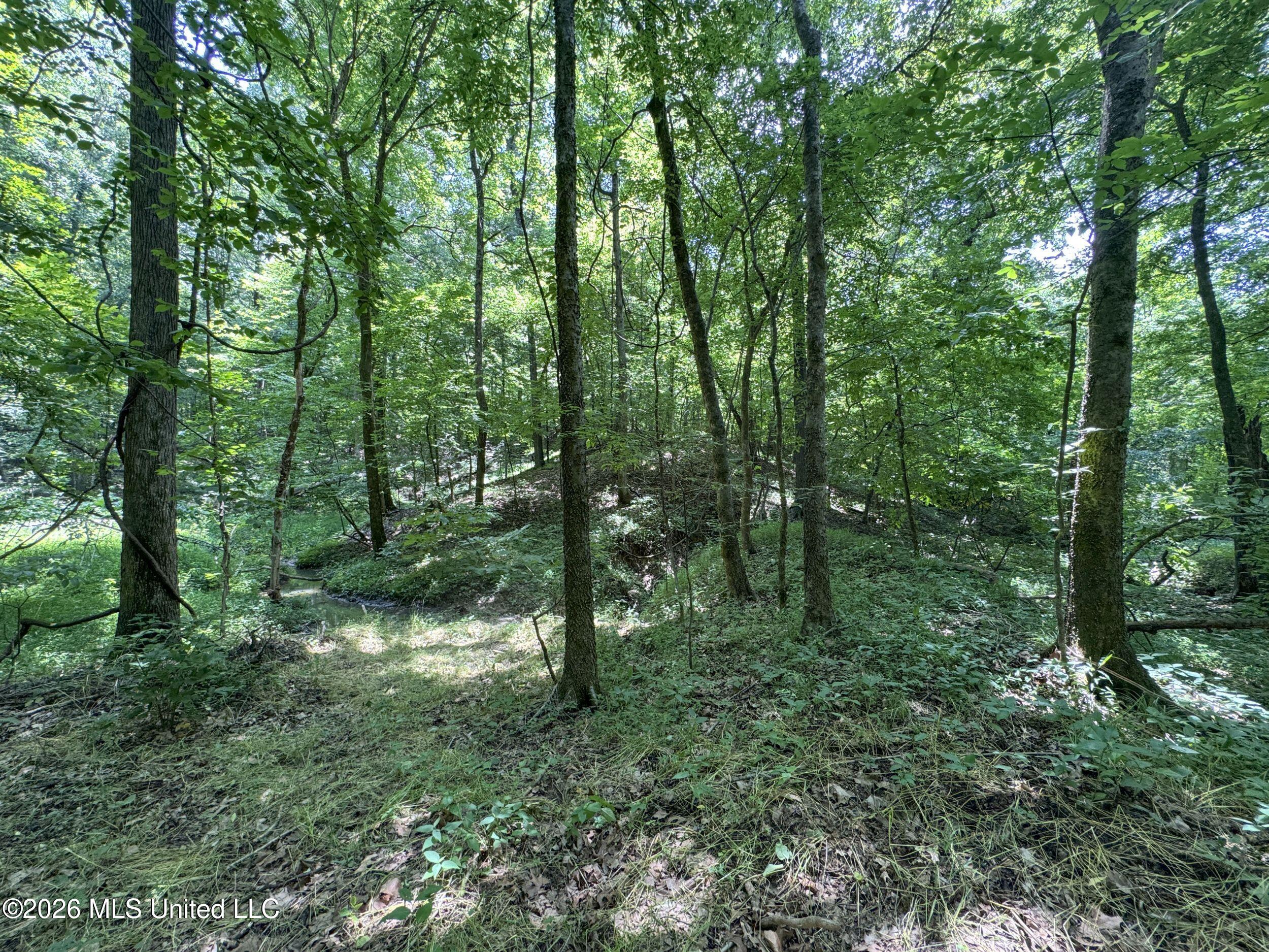 884 Avant Road Property Photo 106