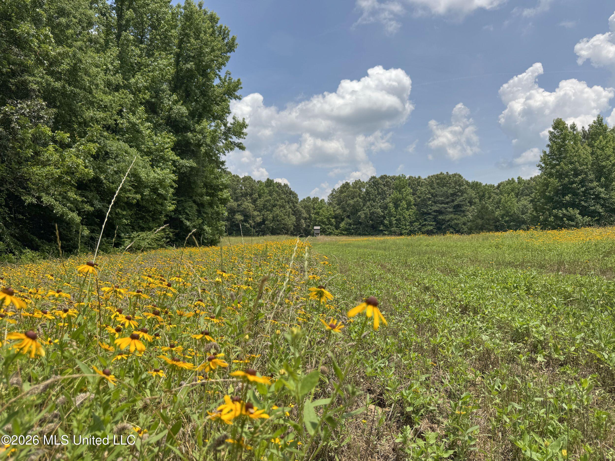 884 Avant Road Property Photo 107