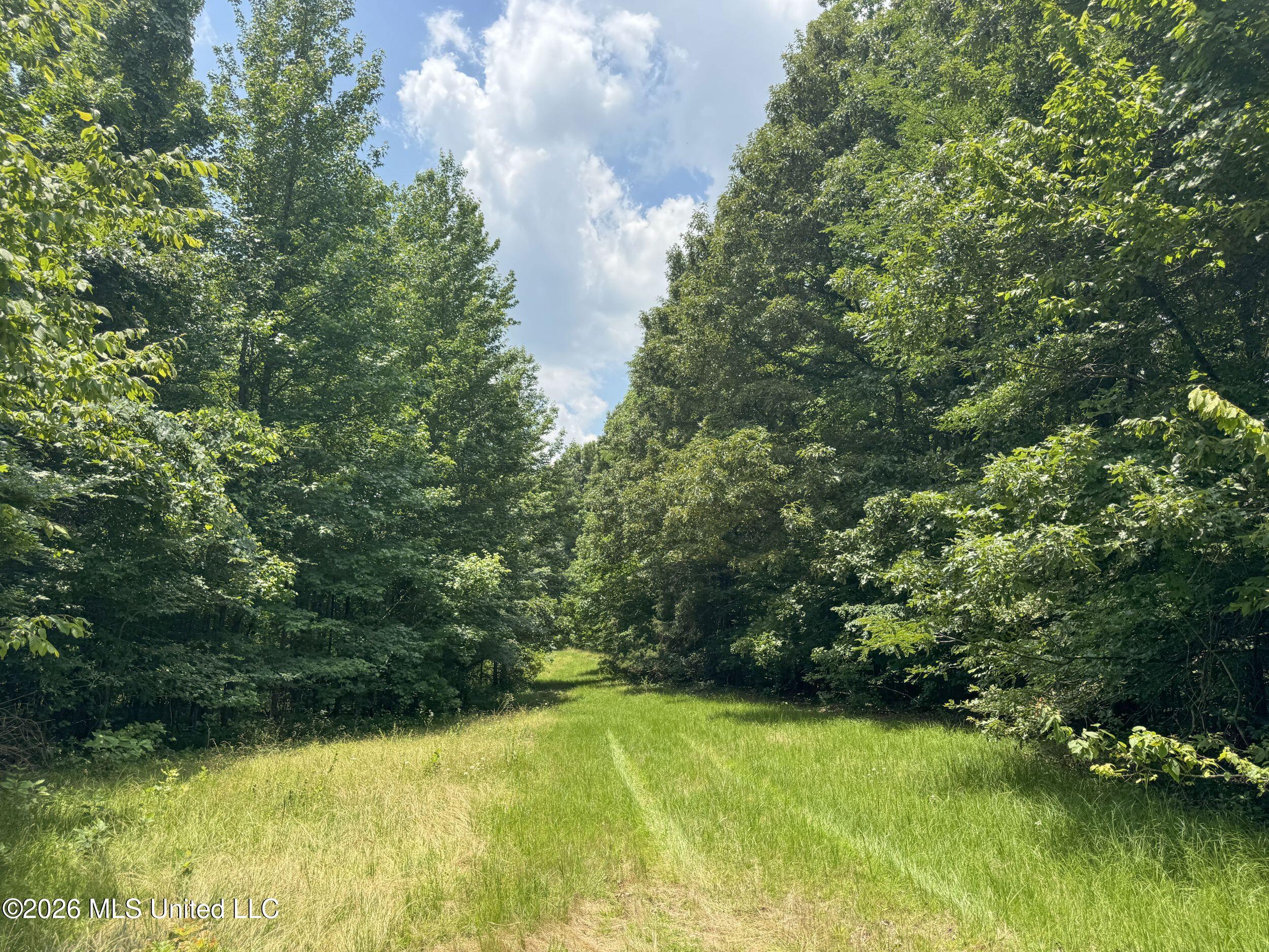 884 Avant Road Property Photo 112