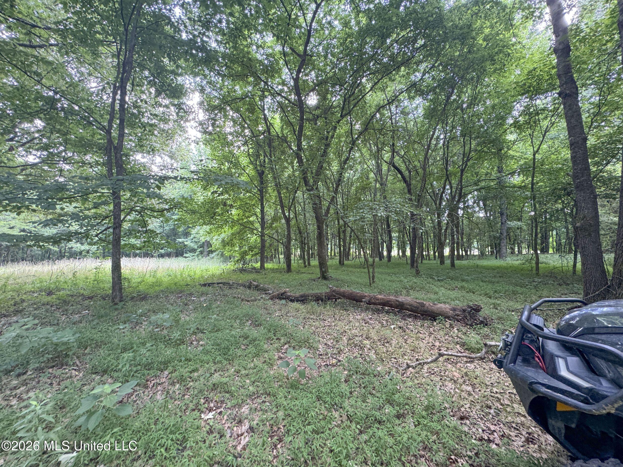 884 Avant Road Property Photo 113