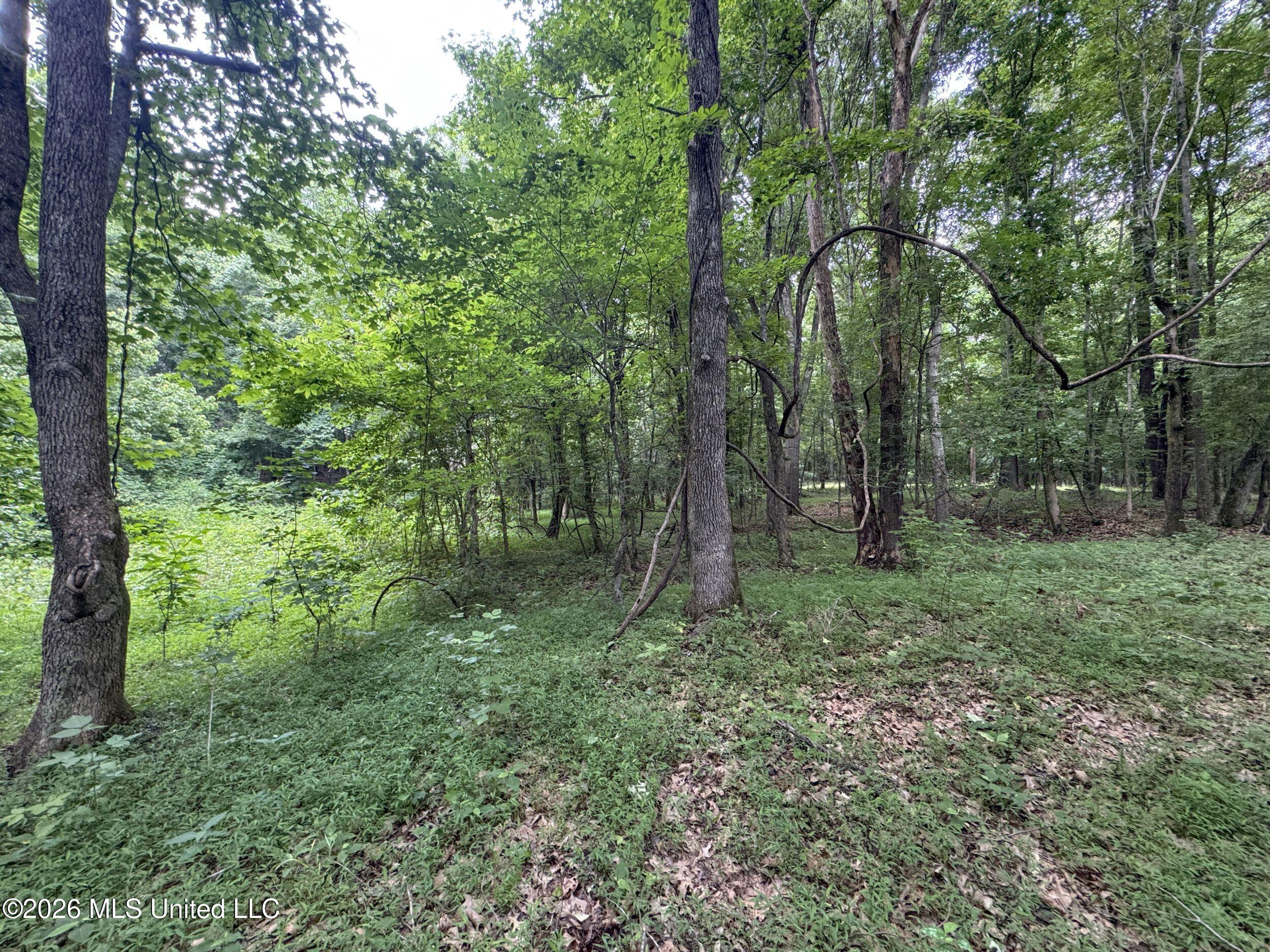 884 Avant Road Property Photo 114