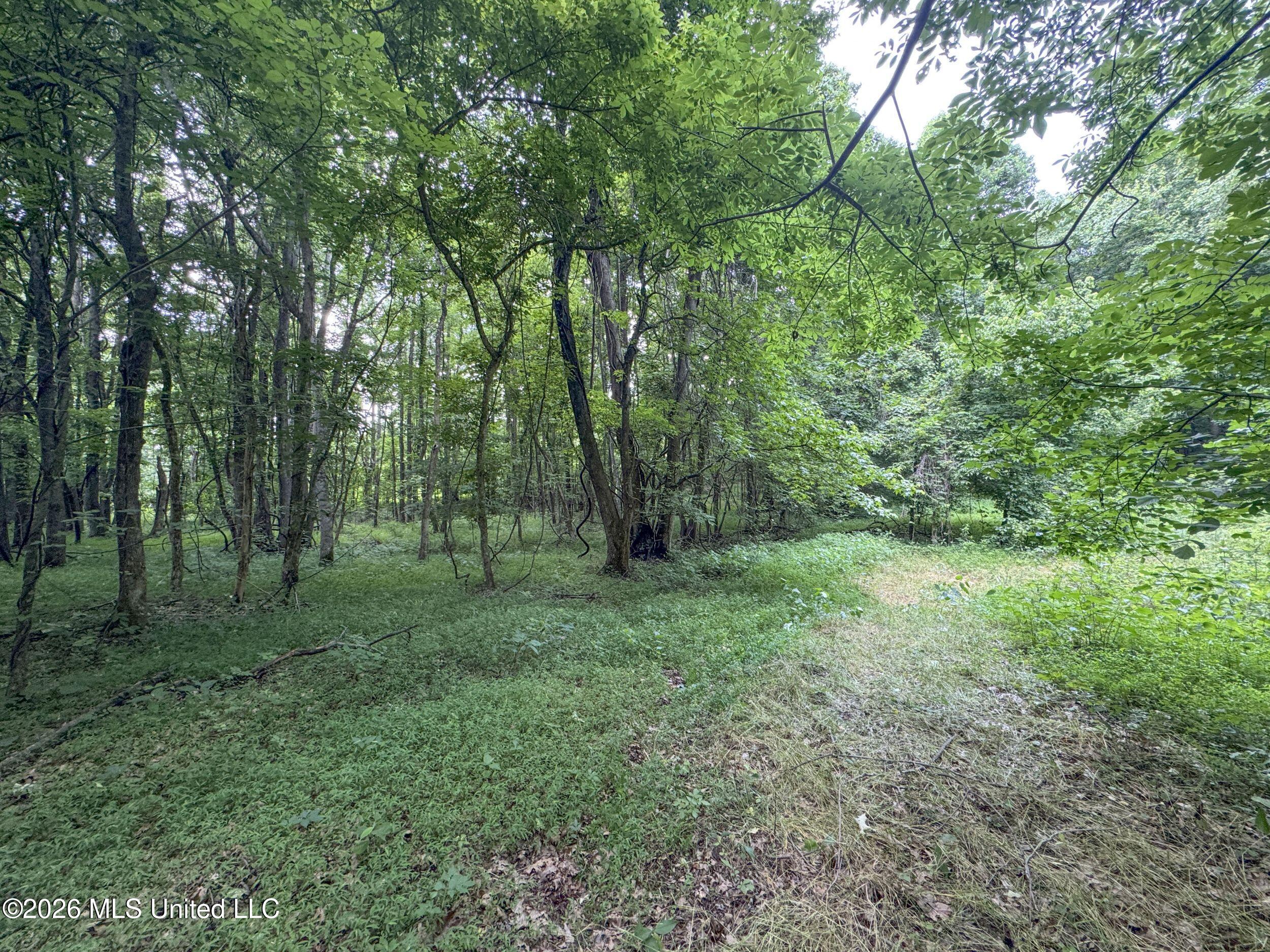 884 Avant Road Property Photo 115