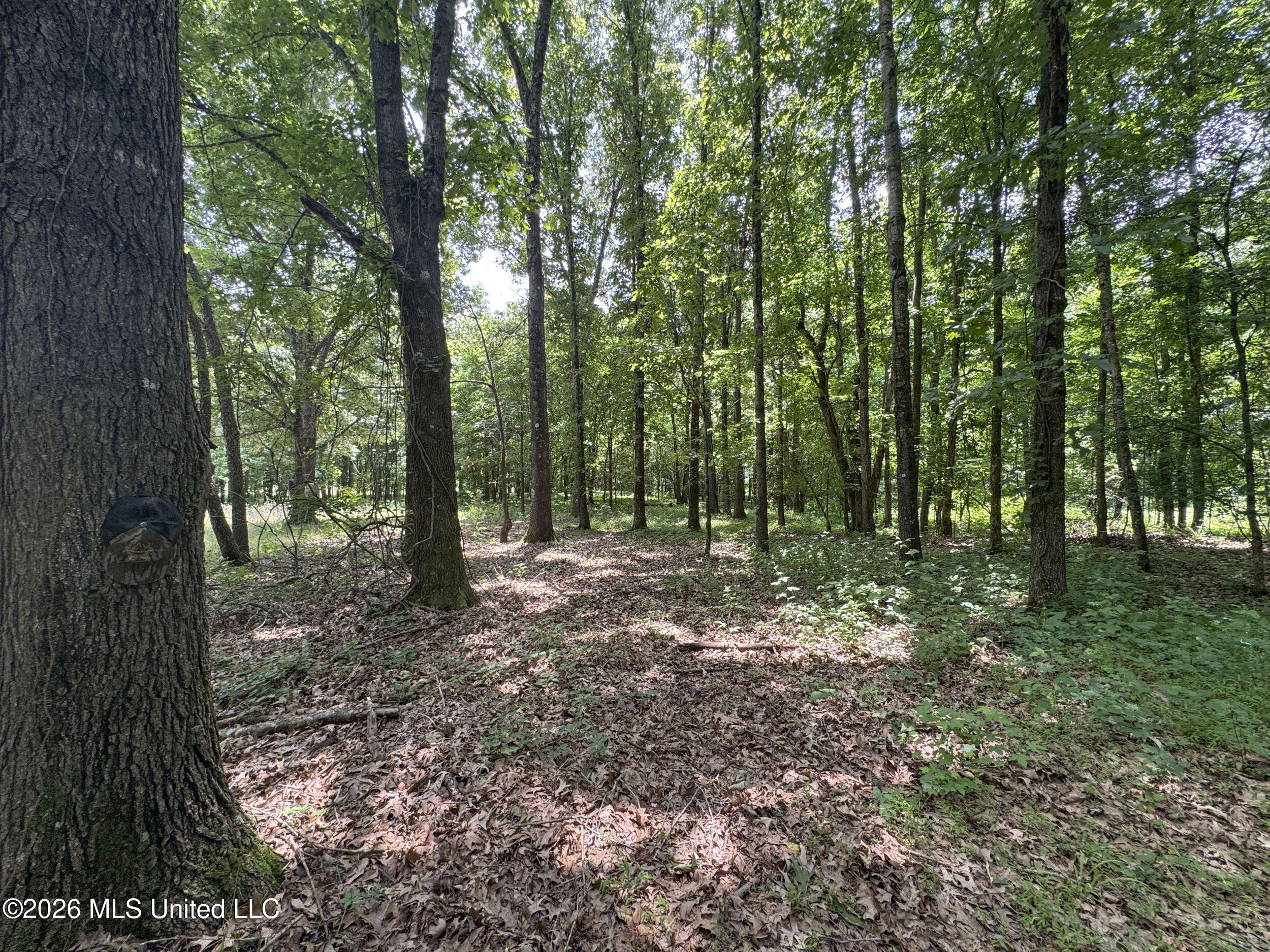 884 Avant Road Property Photo 116