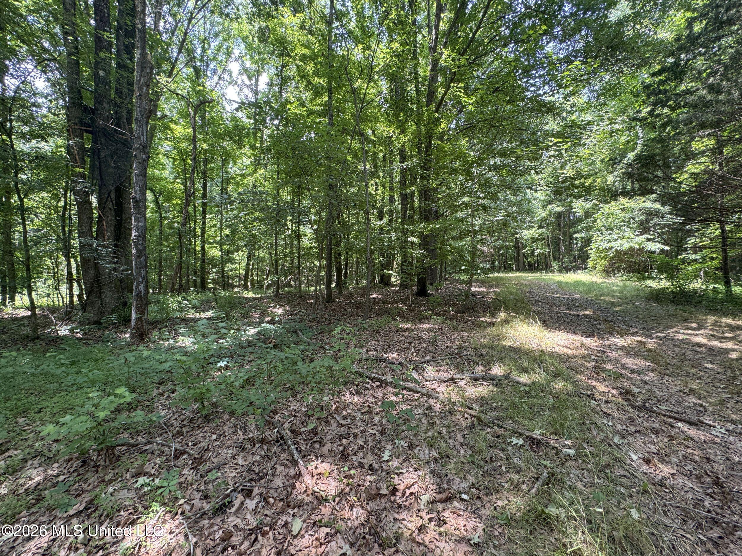 884 Avant Road Property Photo 117
