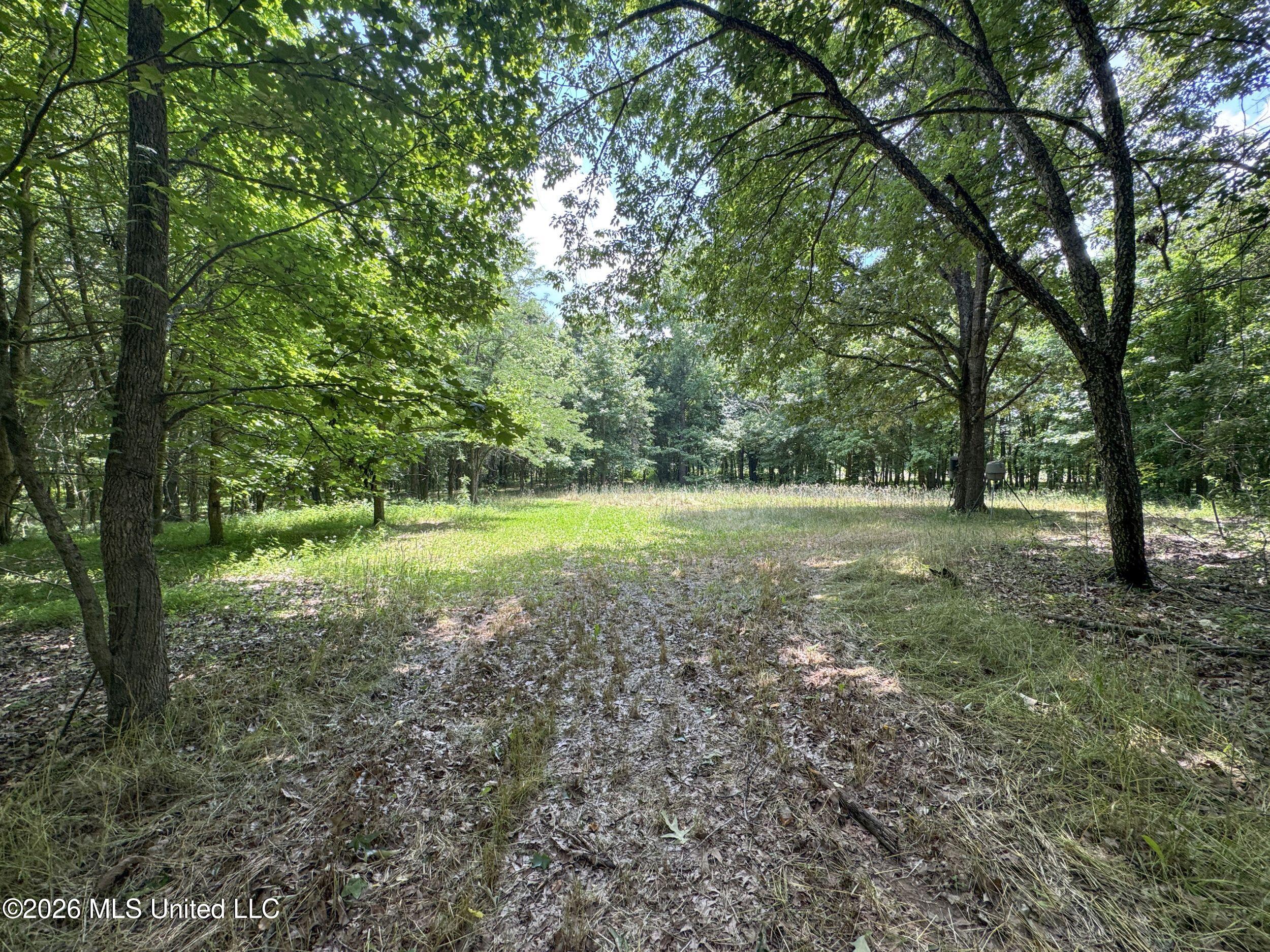 884 Avant Road Property Photo 119