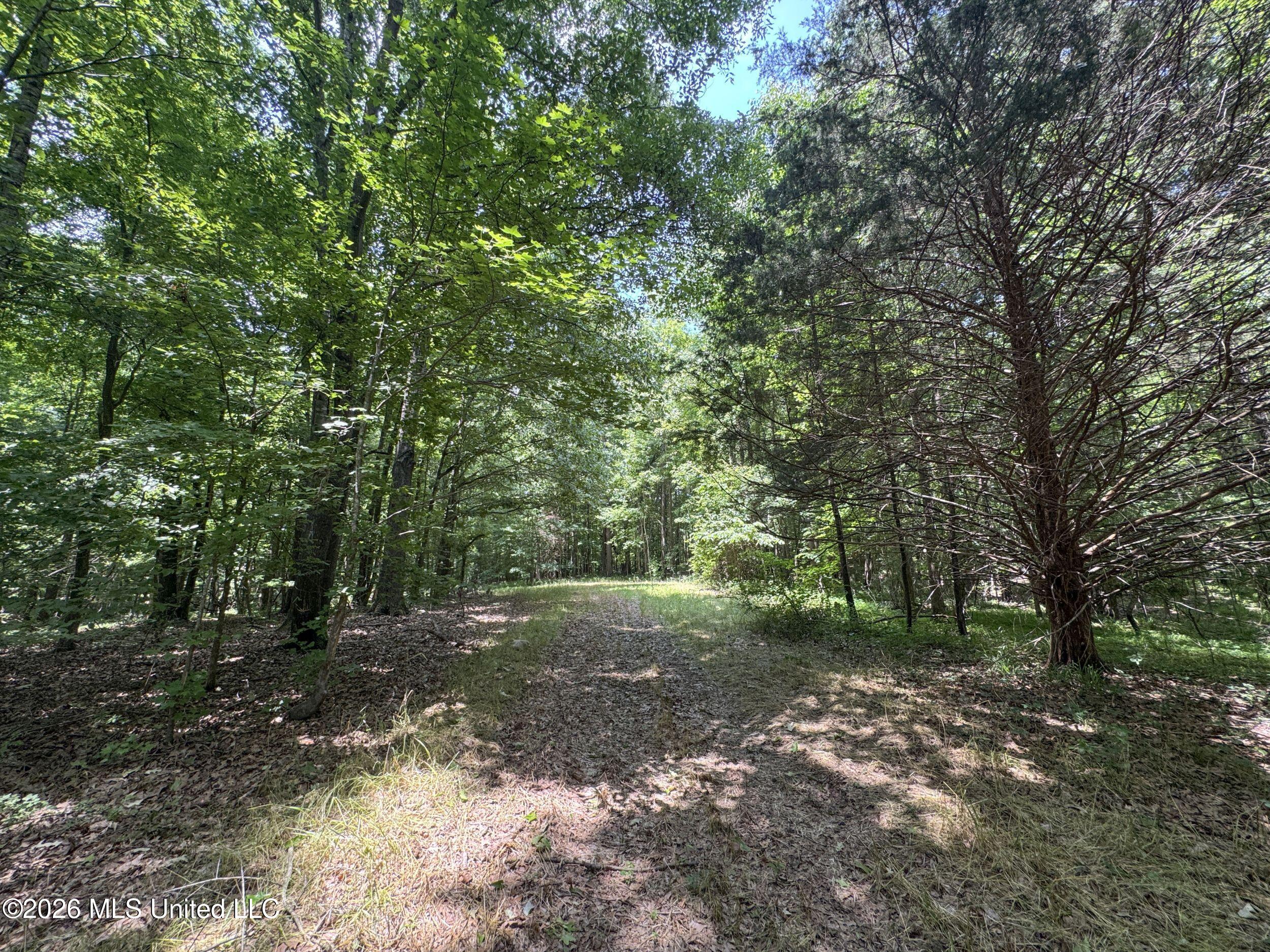 884 Avant Road Property Photo 120
