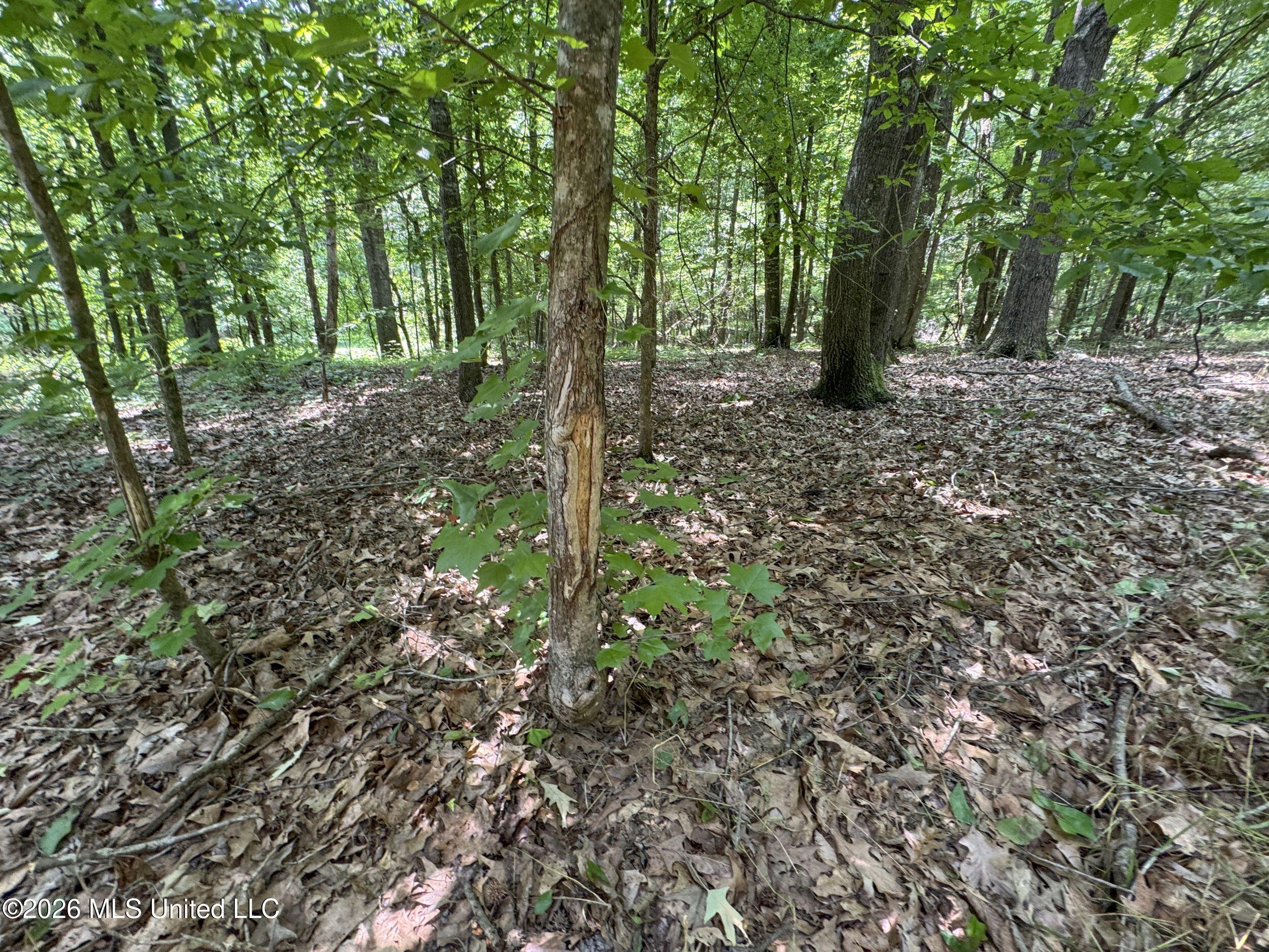 884 Avant Road Property Photo 121