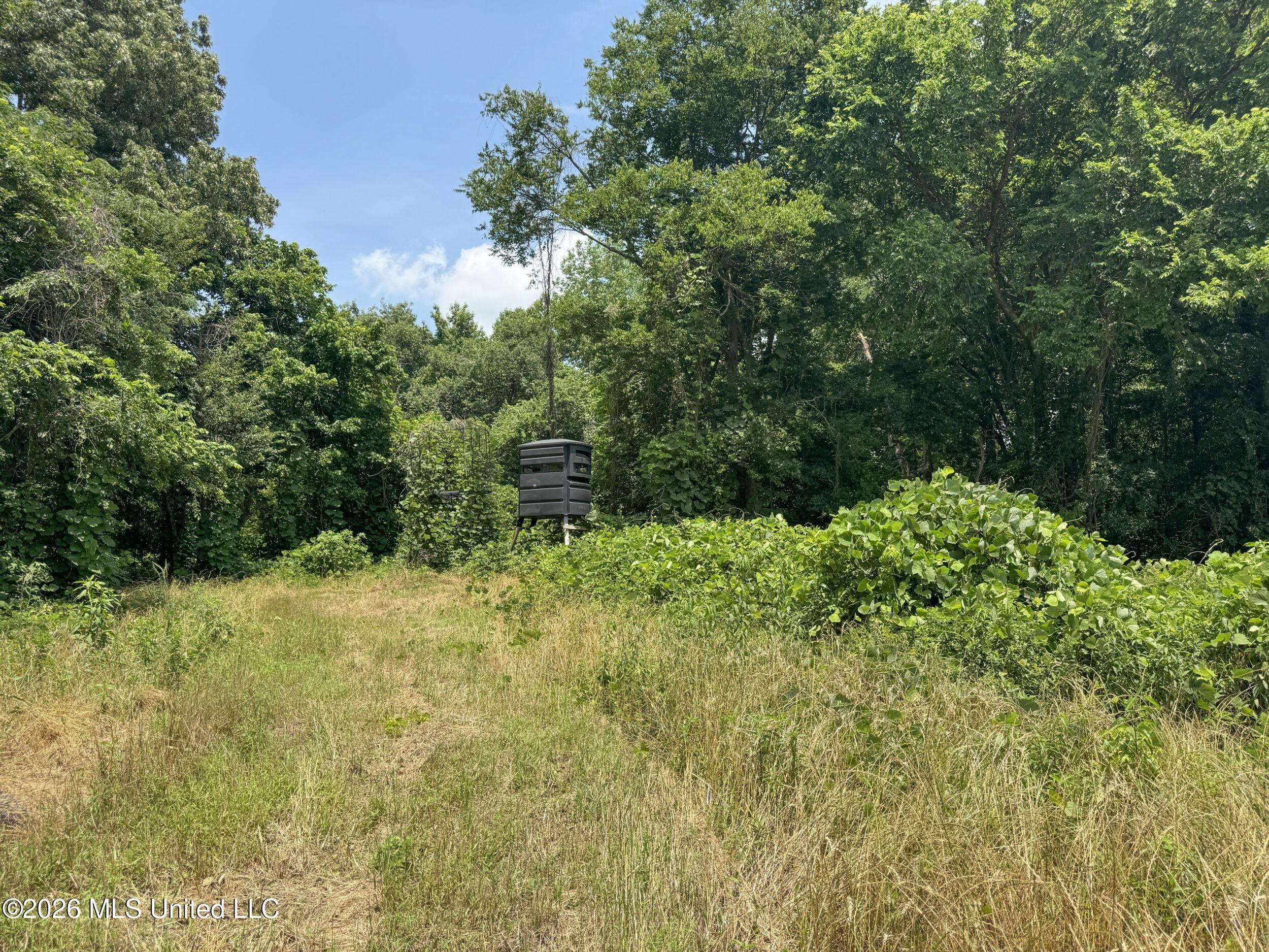 884 Avant Road Property Photo 122