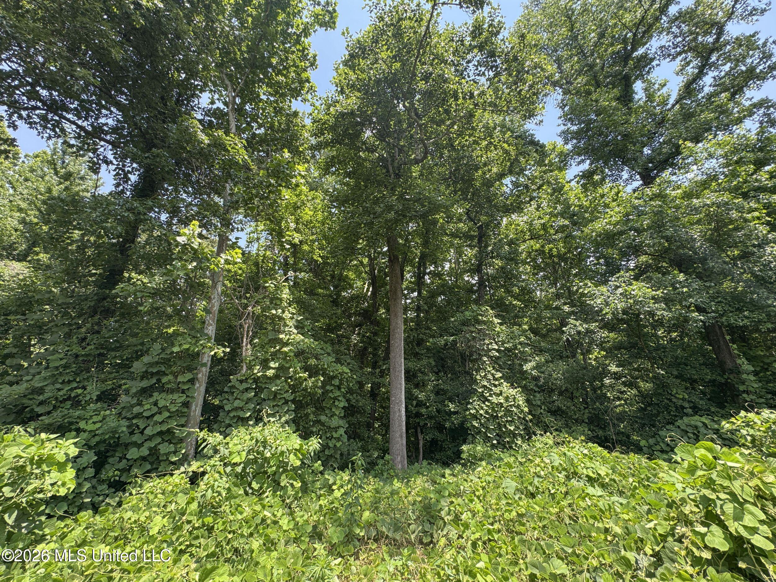 884 Avant Road Property Photo 123