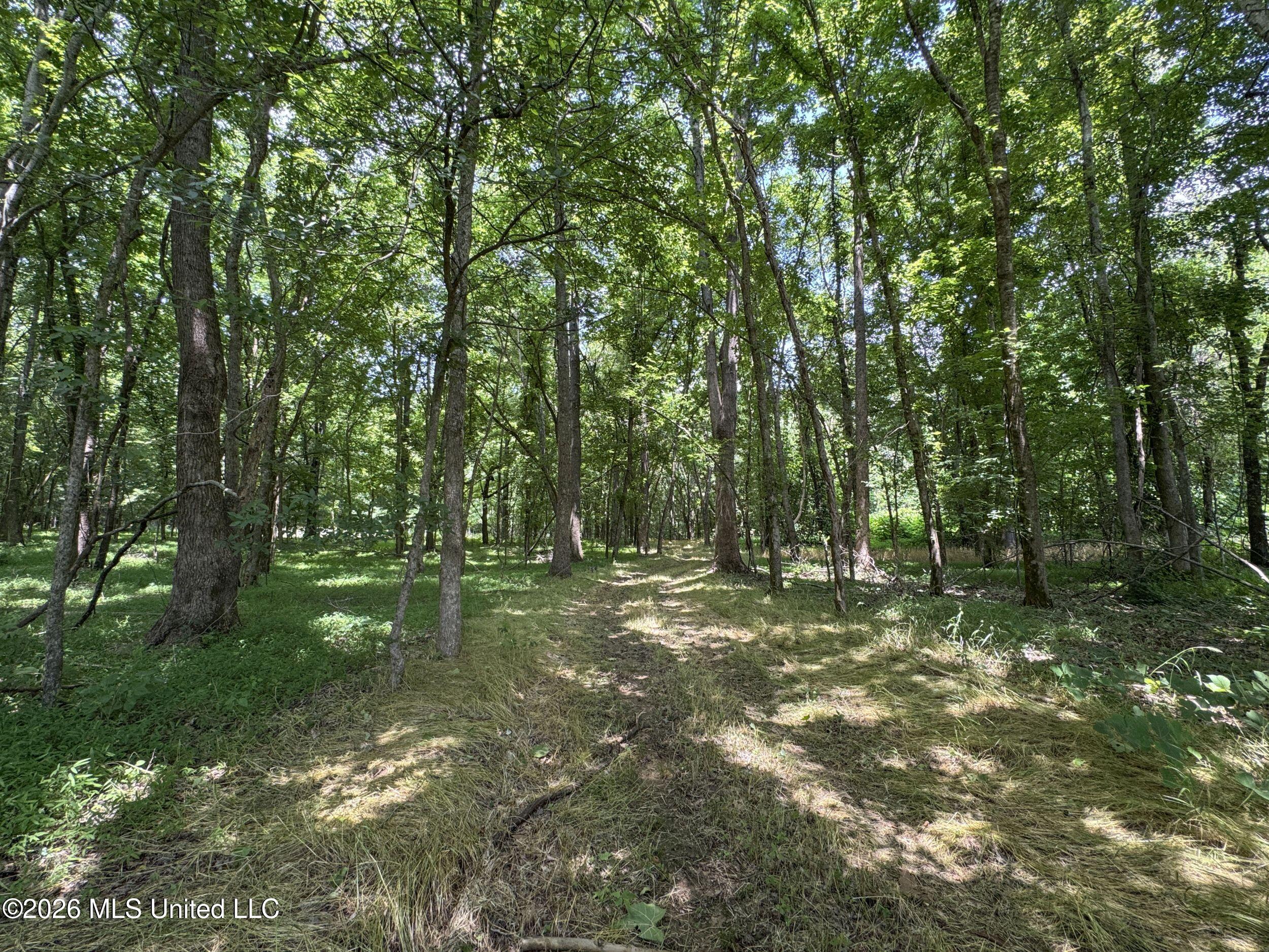 884 Avant Road Property Photo 124