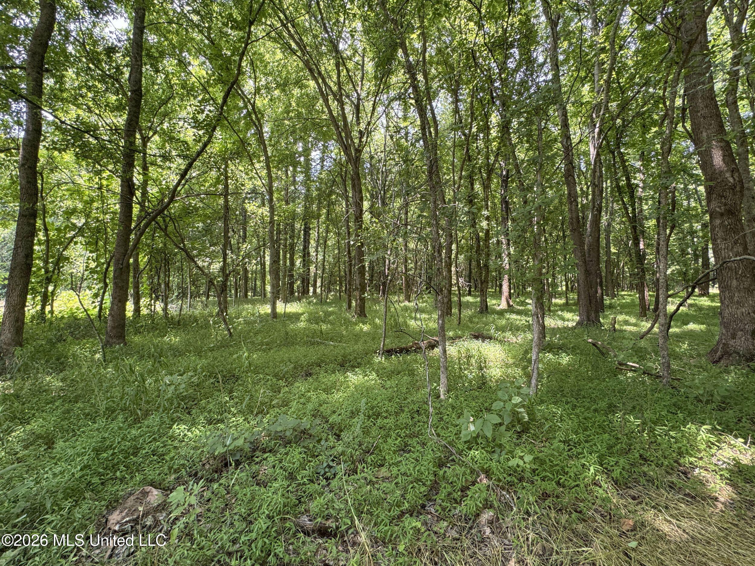 884 Avant Road Property Photo 125