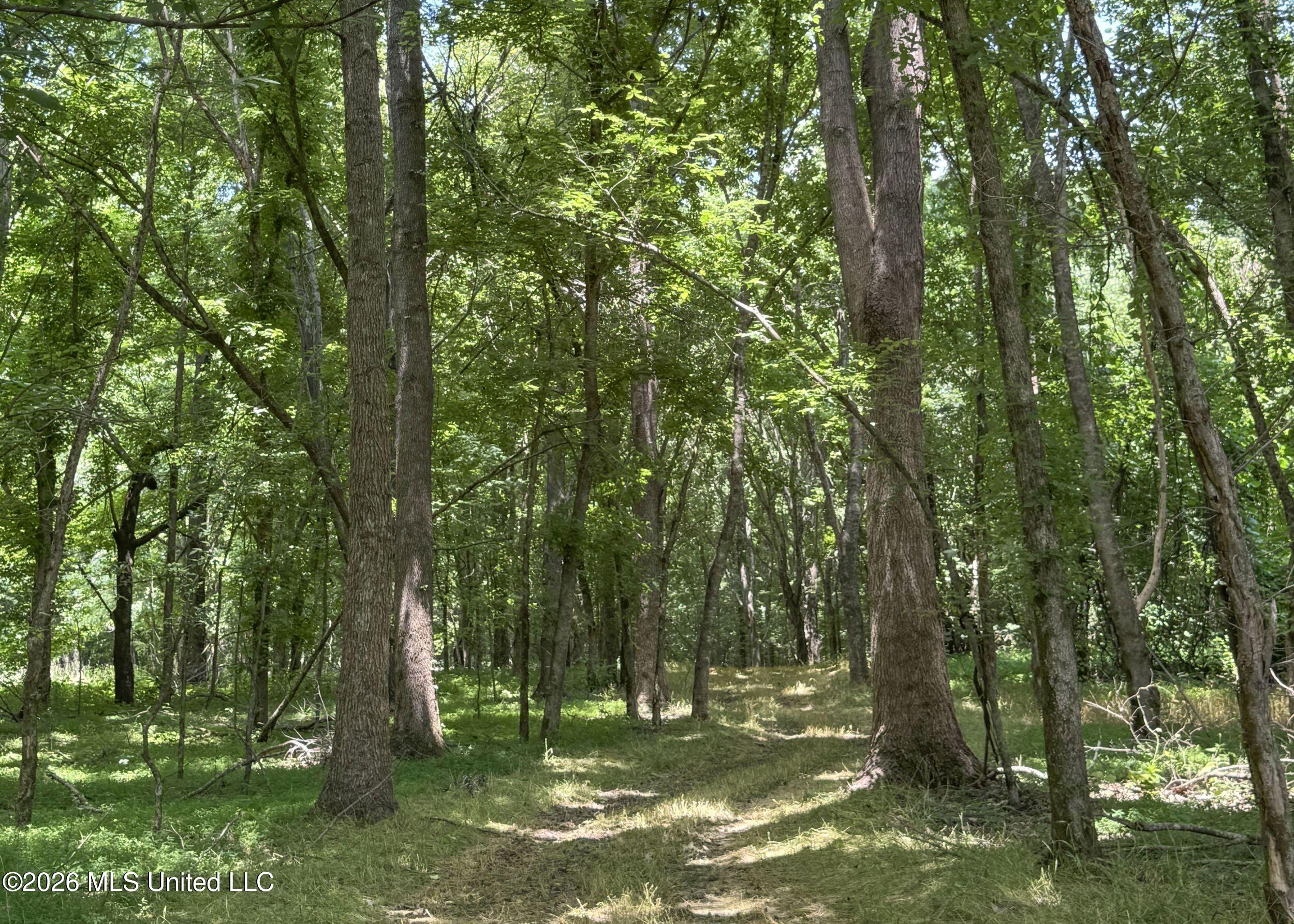 884 Avant Road Property Photo 126
