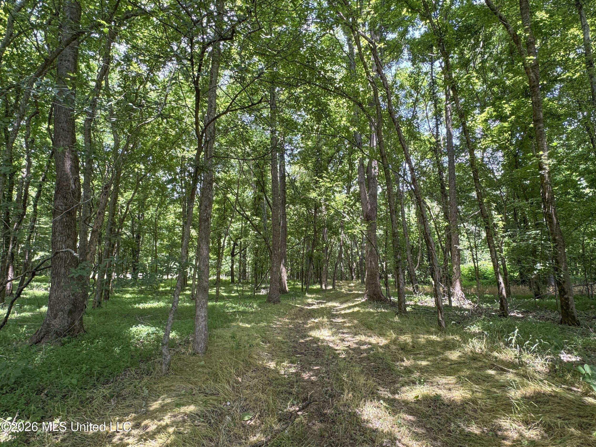 884 Avant Road Property Photo 127