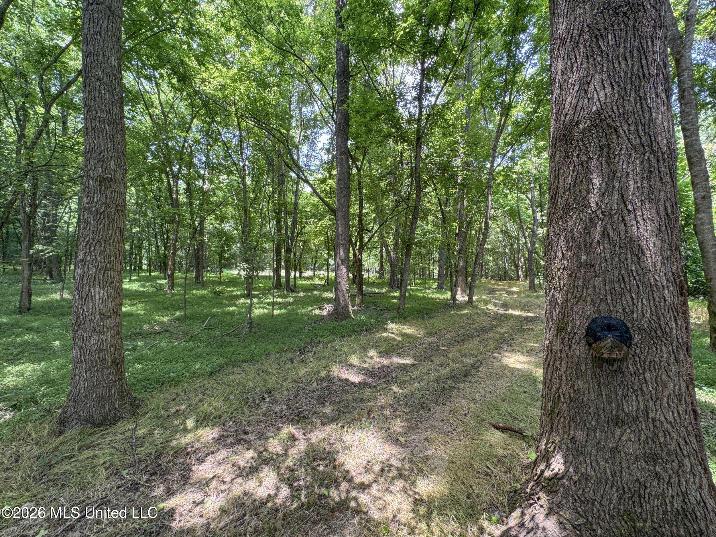 884 Avant Road Property Photo 129