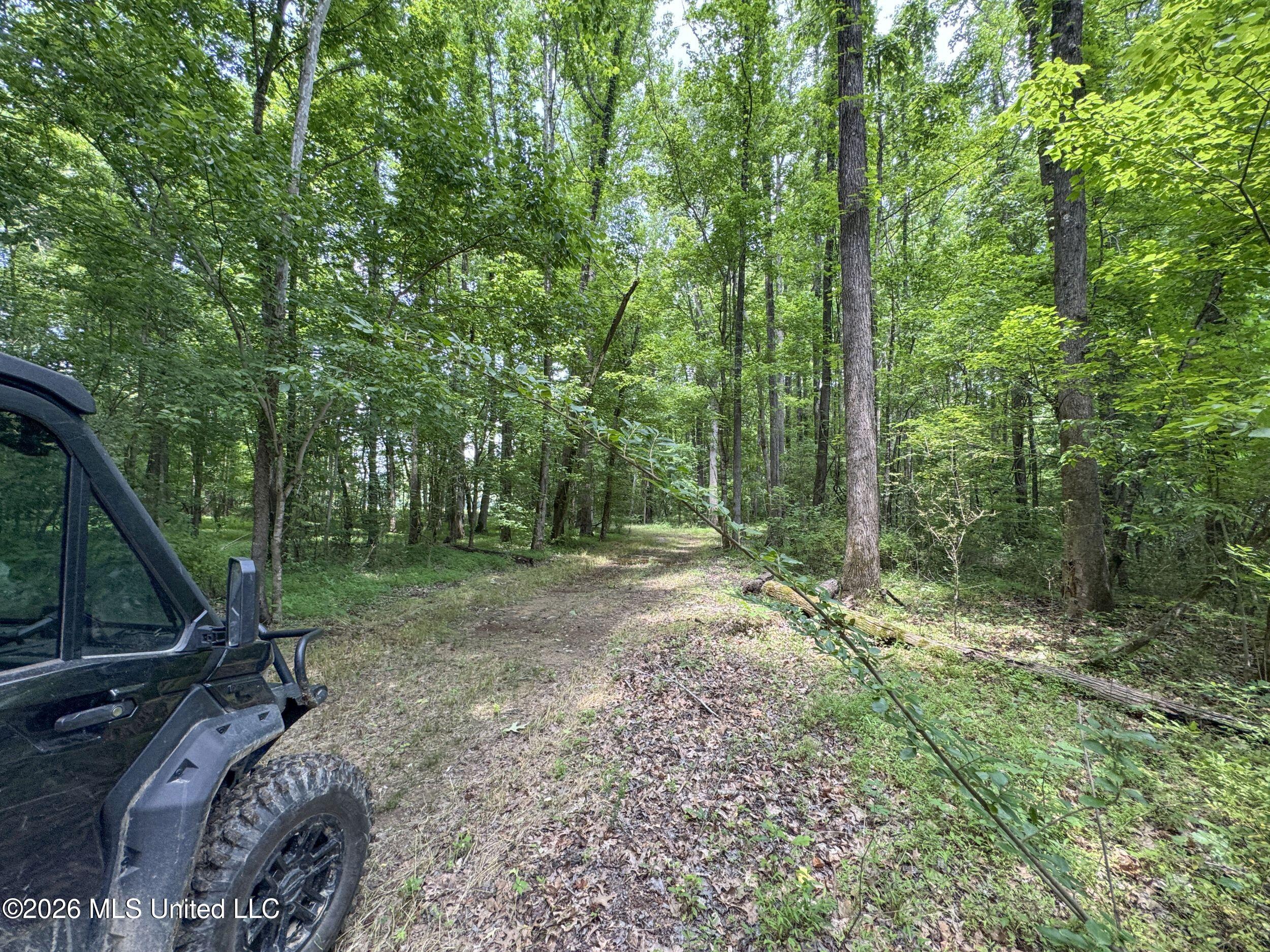884 Avant Road Property Photo 132