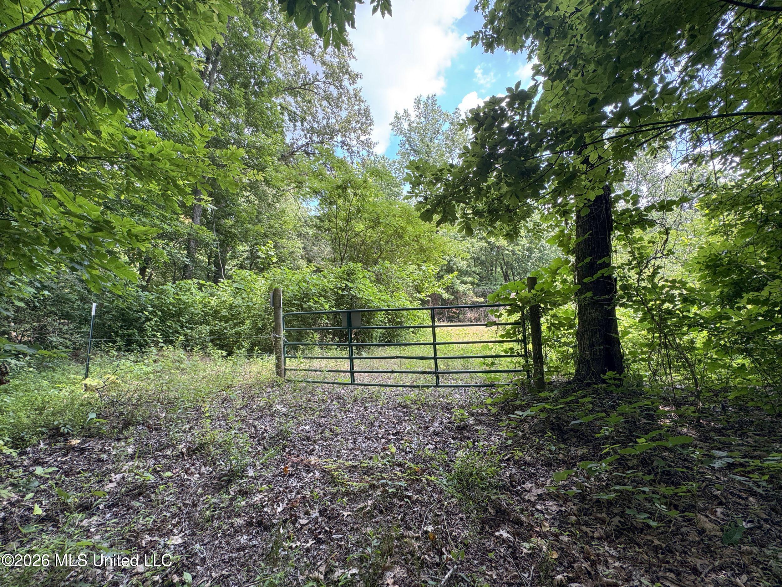 884 Avant Road Property Photo 134