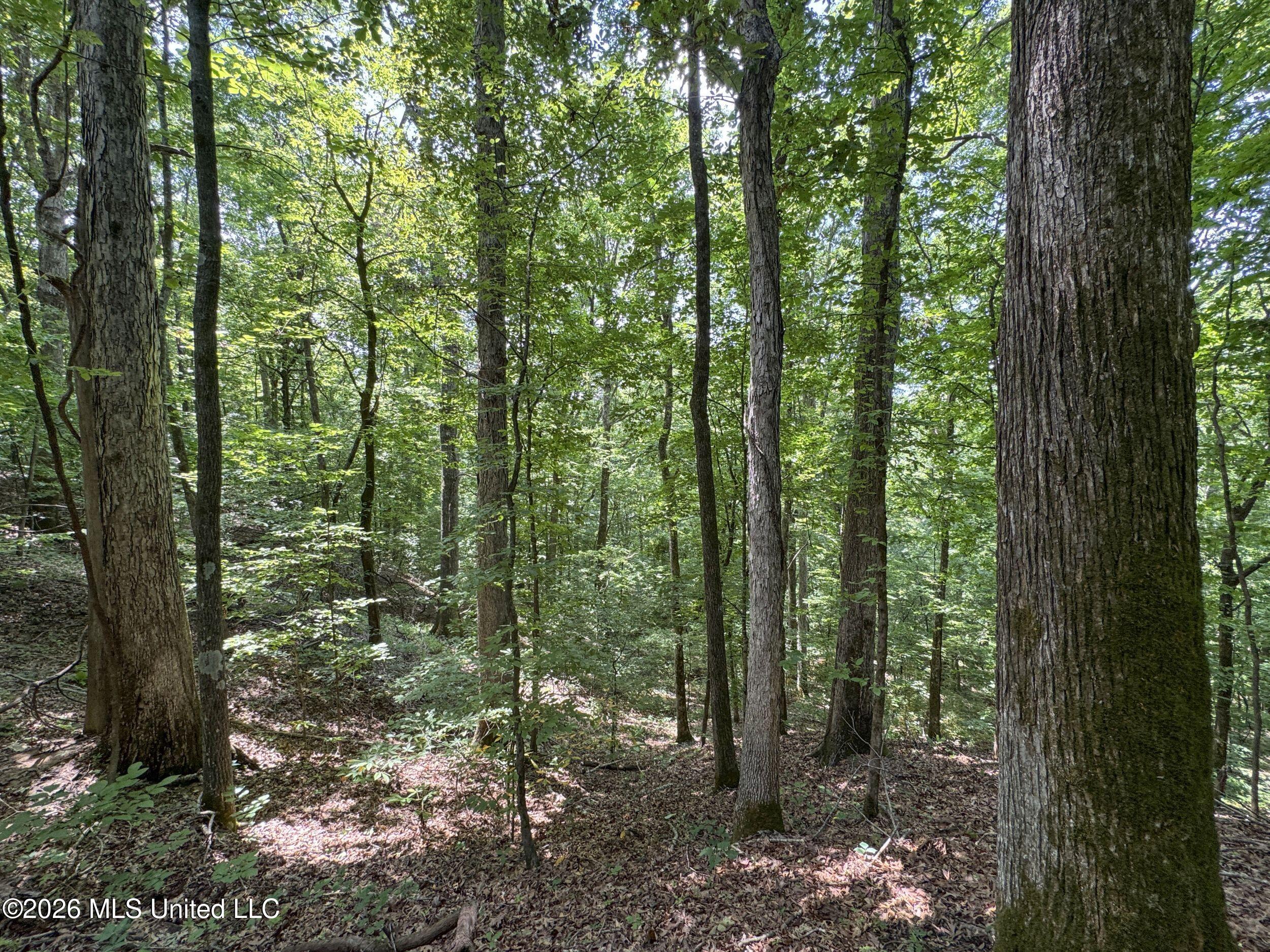 884 Avant Road Property Photo 135