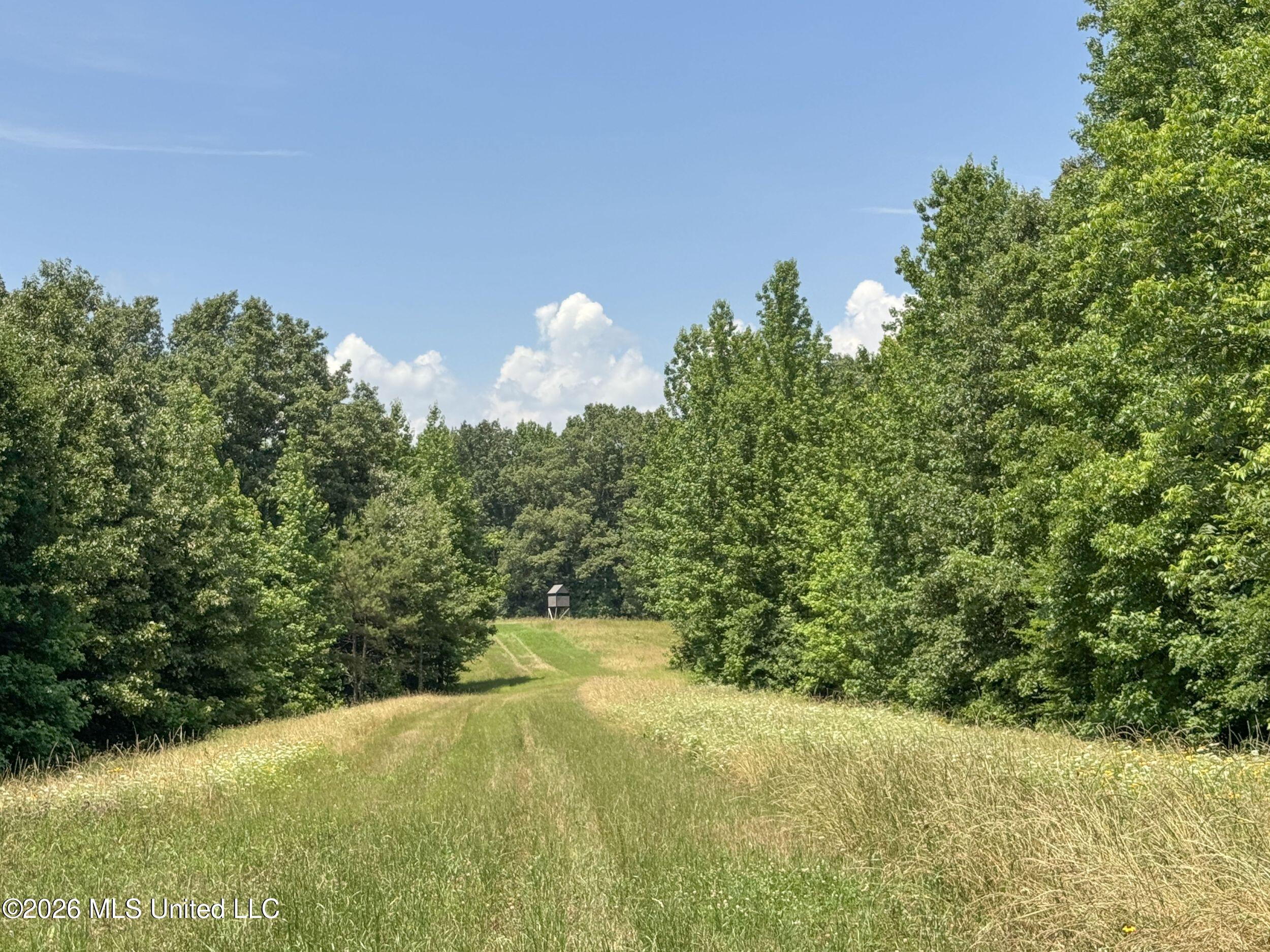 884 Avant Road Property Photo 140