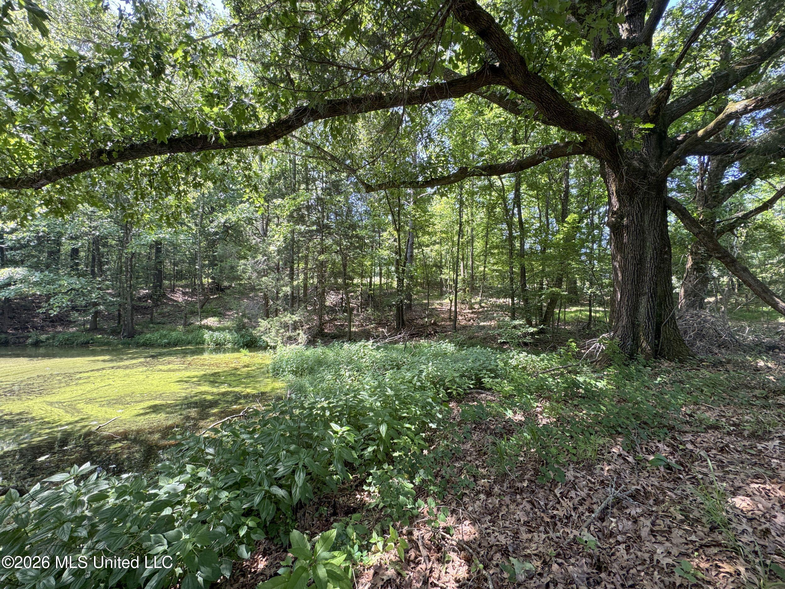 884 Avant Road Property Photo 145