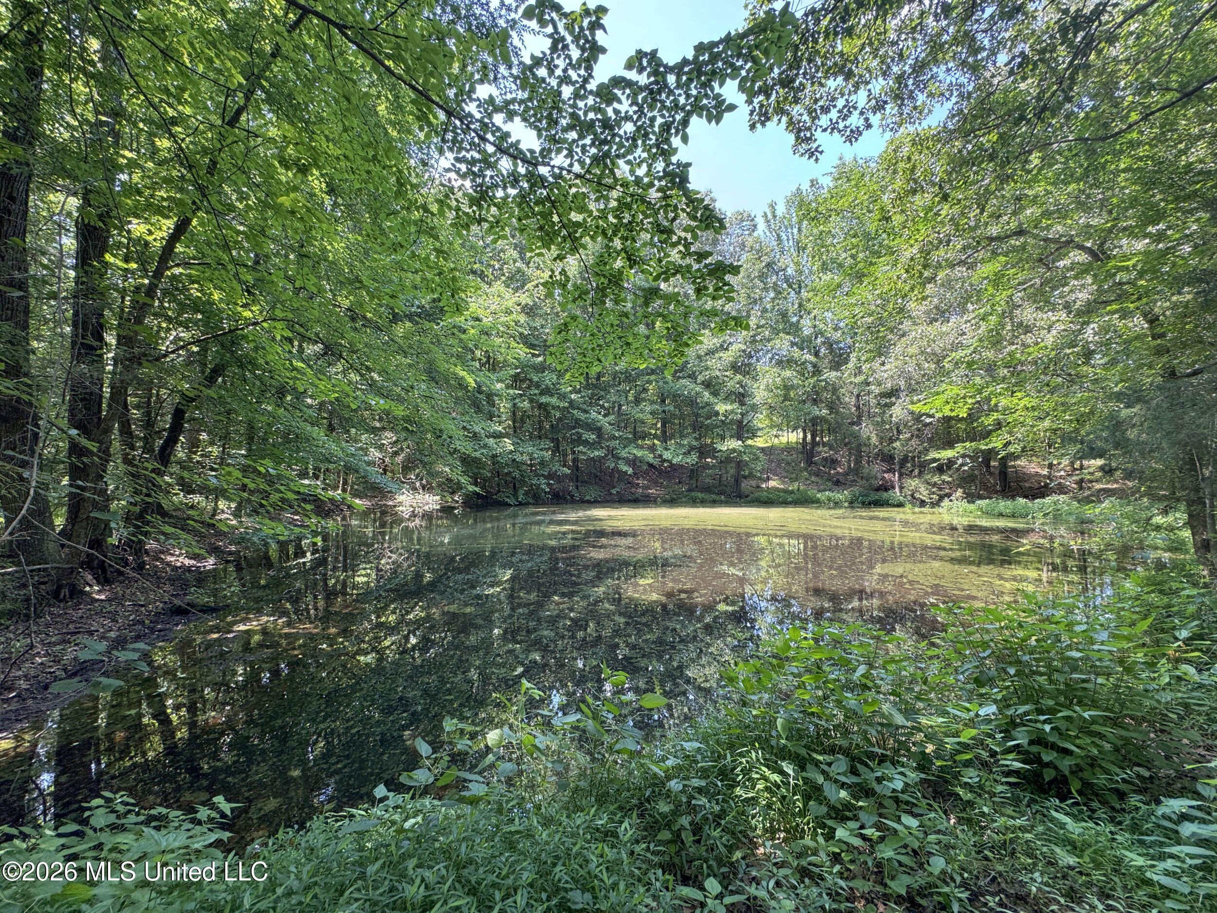 884 Avant Road Property Photo 147