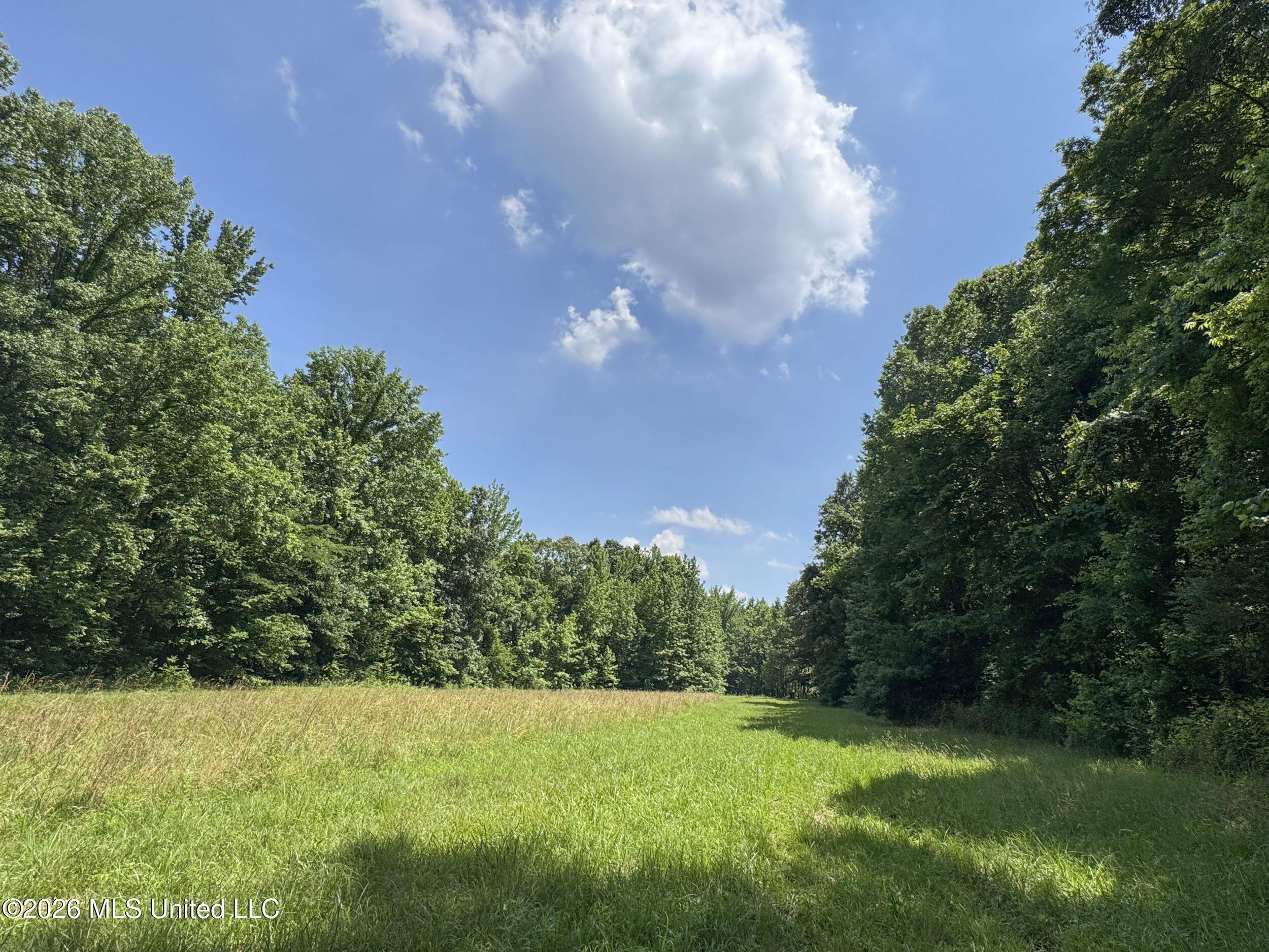 884 Avant Road Property Photo 148