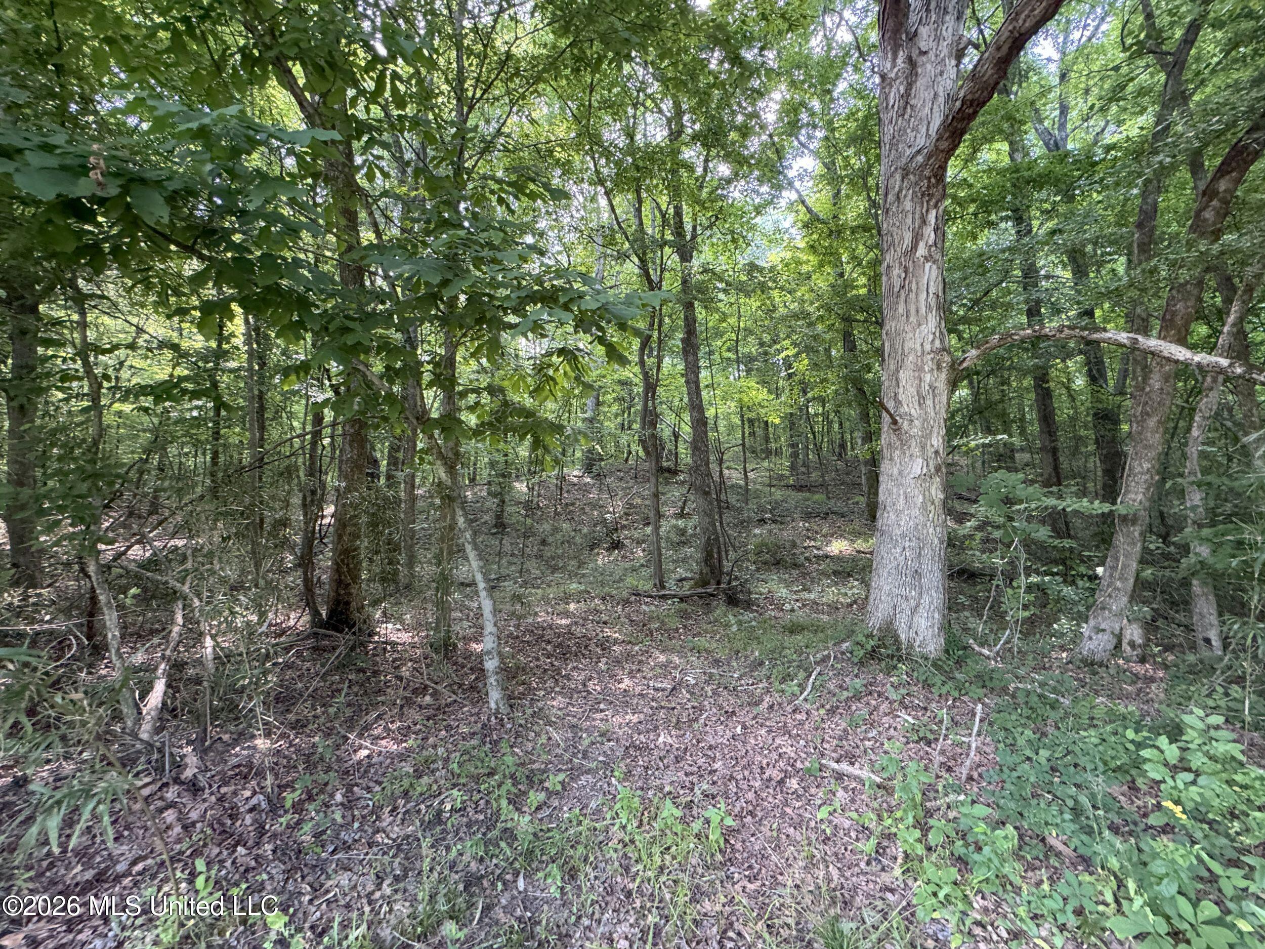 884 Avant Road Property Photo 151