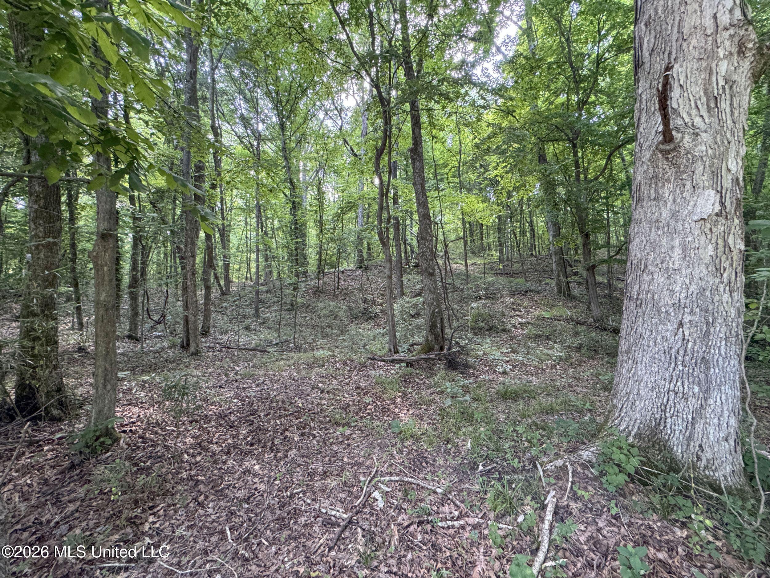 884 Avant Road Property Photo 152