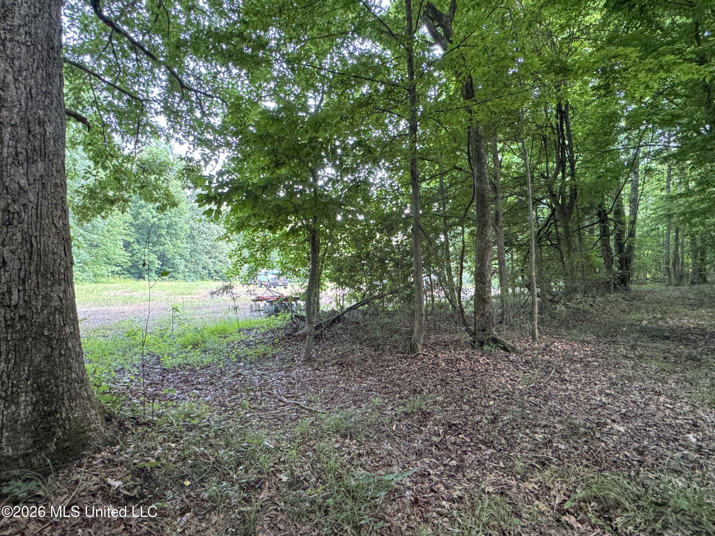 884 Avant Road Property Photo 153