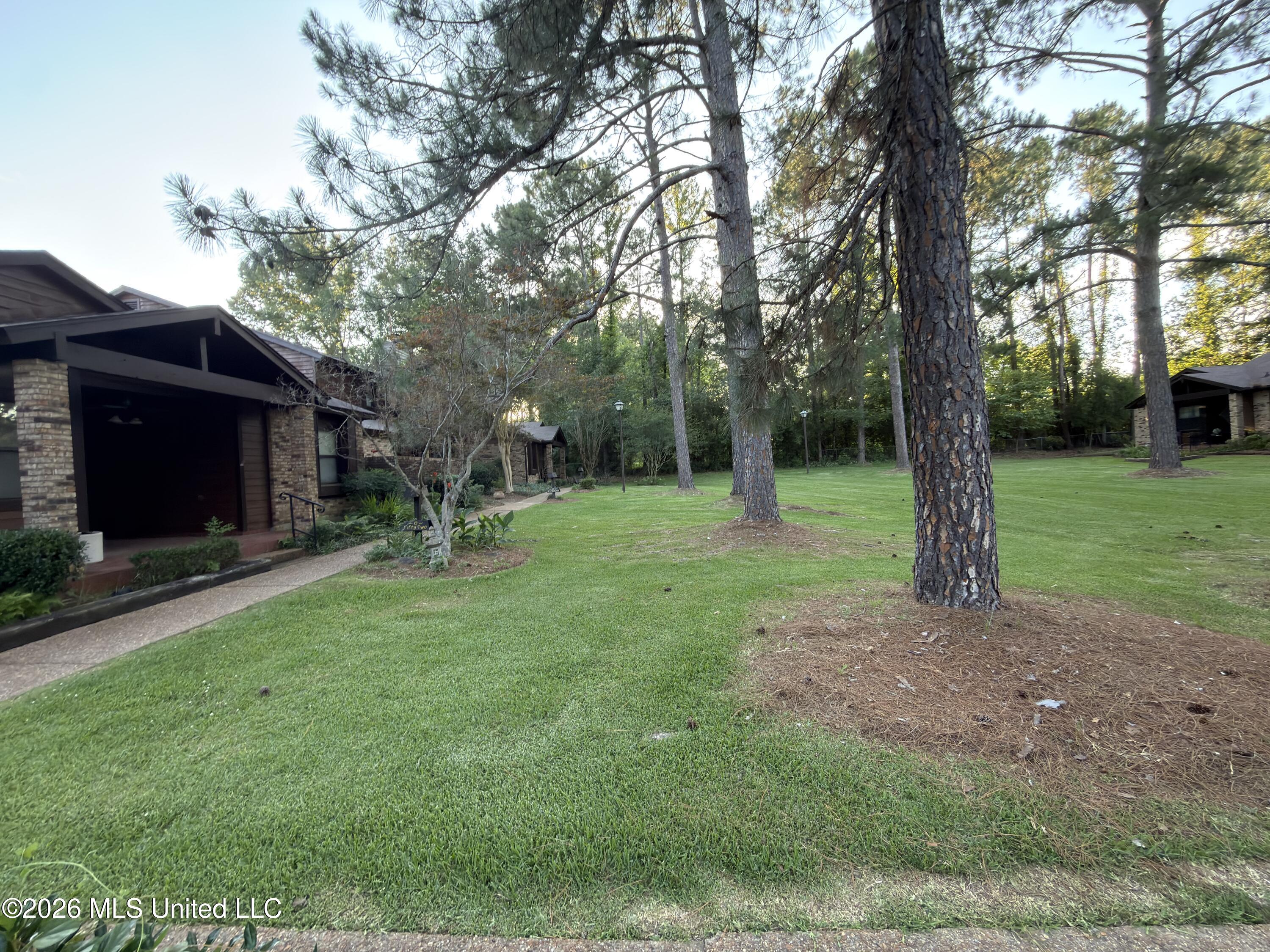 52 W Cascades Circle Property Photo 16