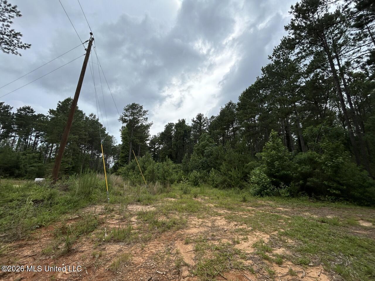 6643 Grange Hall Road Property Photo 2