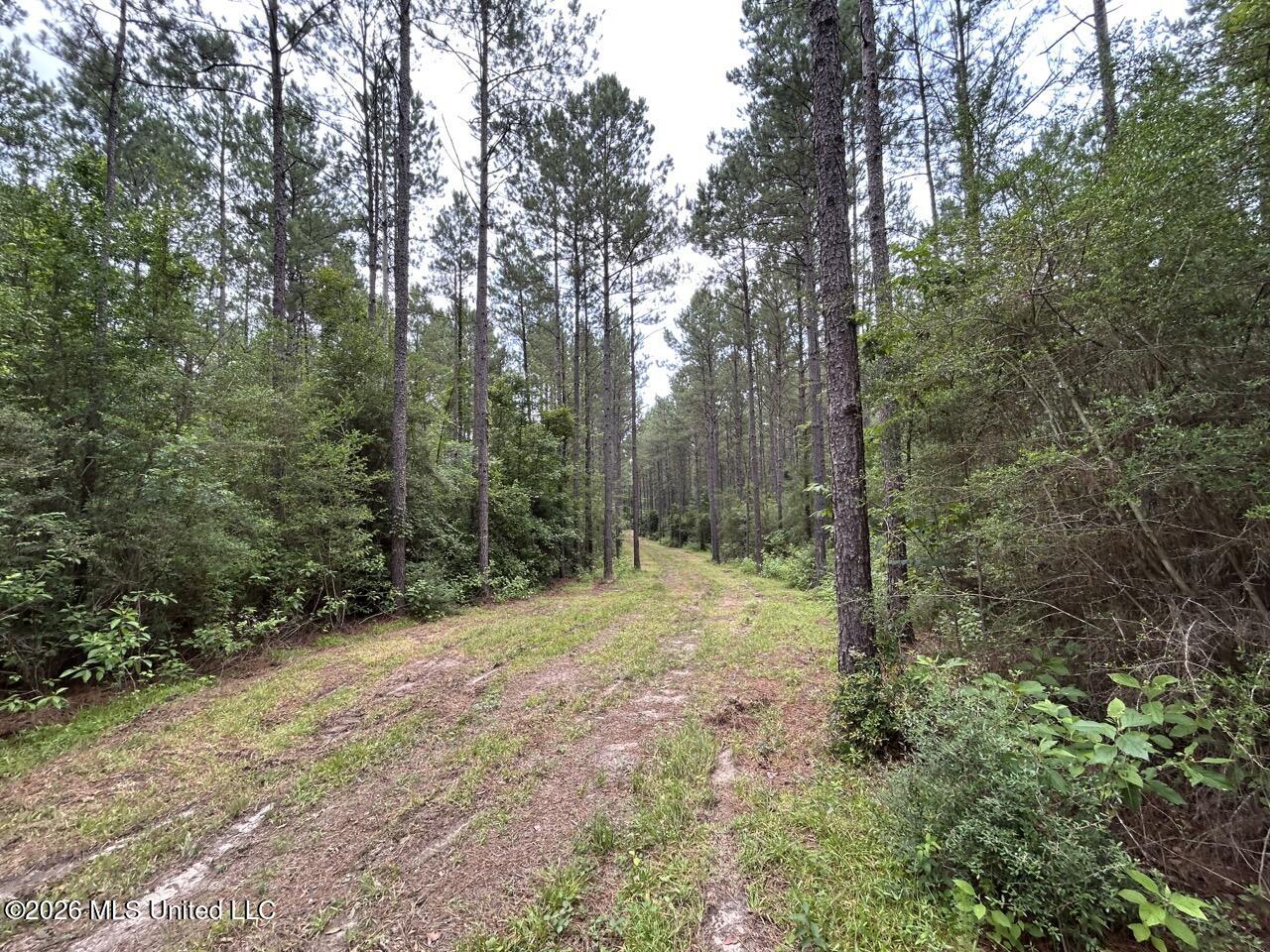 6643 Grange Hall Road Property Photo 3
