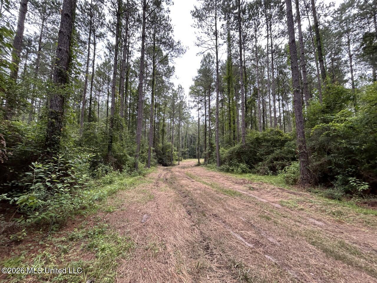 6643 Grange Hall Road Property Photo 4