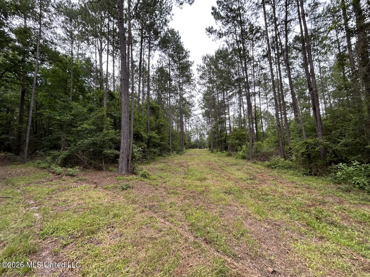 6643 Grange Hall Road Property Photo 5