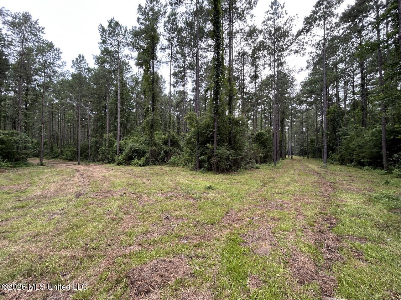 6643 Grange Hall Road Property Photo 6