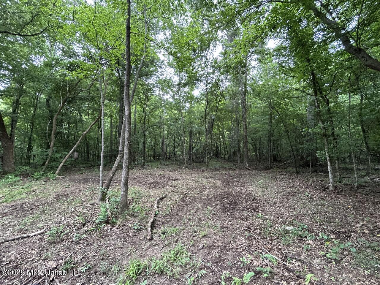 6643 Grange Hall Road Property Photo 7