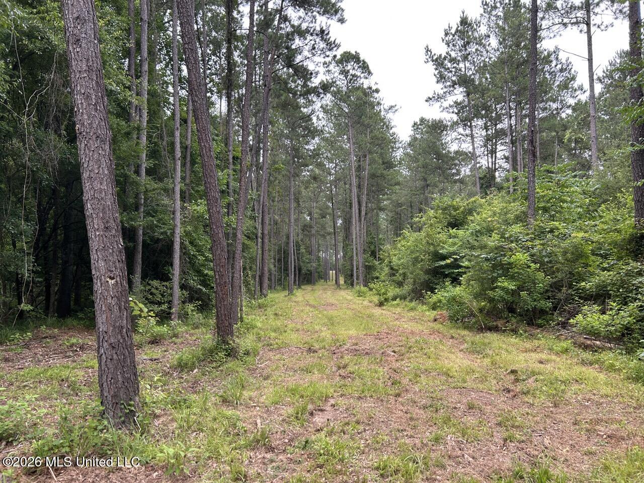 6643 Grange Hall Road Property Photo 8
