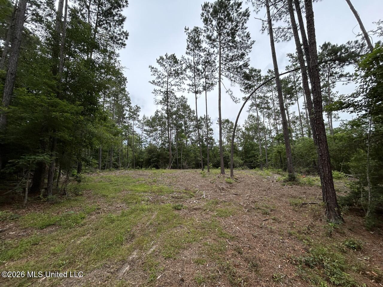 6643 Grange Hall Road Property Photo 9