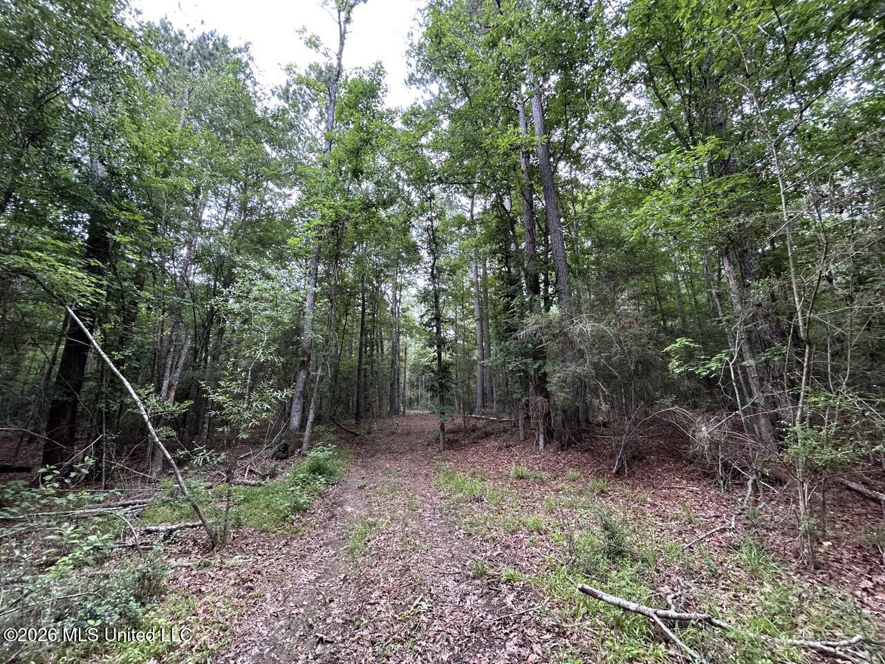 6643 Grange Hall Road Property Photo 10