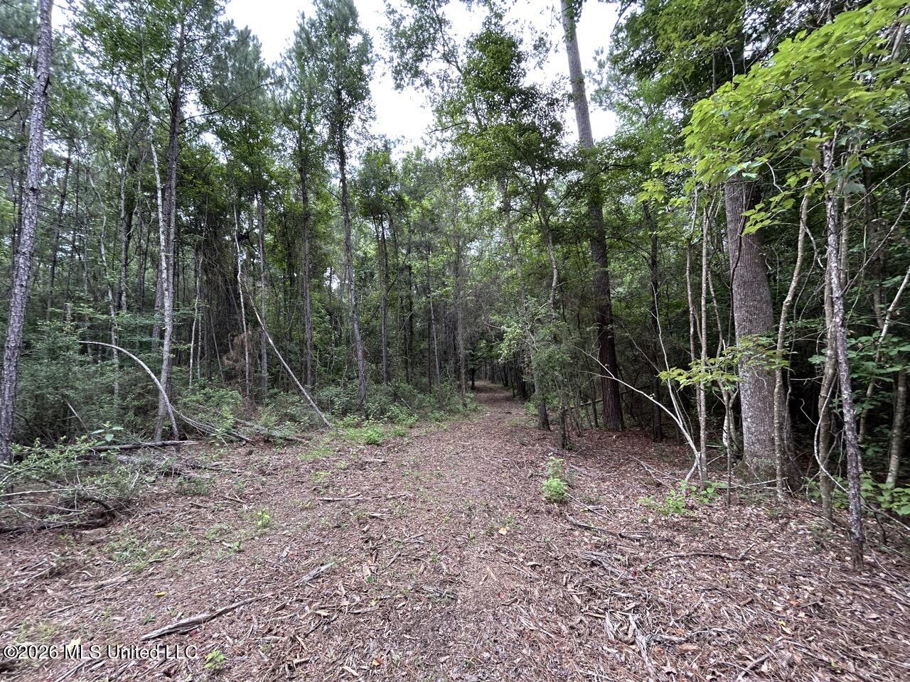 6643 Grange Hall Road Property Photo 11