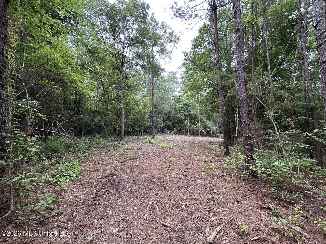 6643 Grange Hall Road Property Photo 12