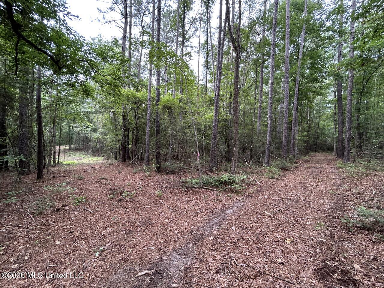 6643 Grange Hall Road Property Photo 13