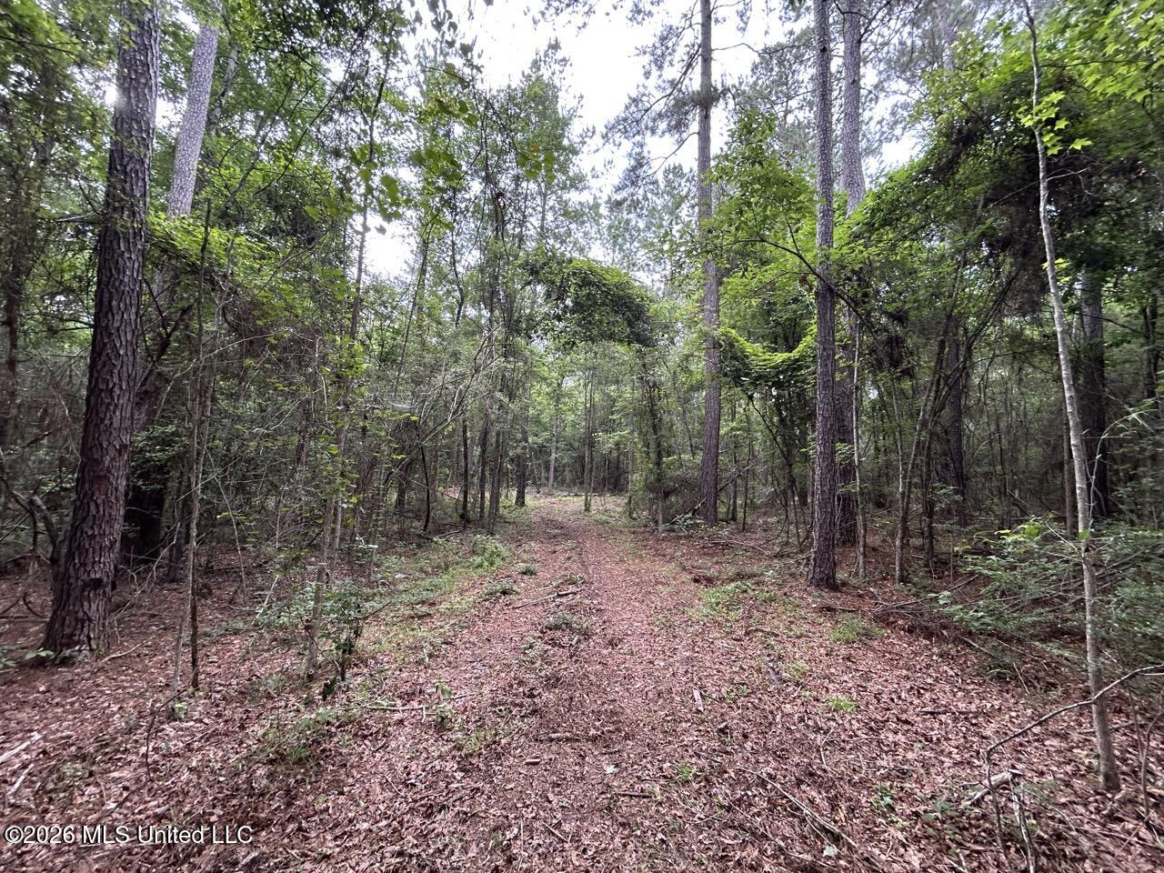 6643 Grange Hall Road Property Photo 14
