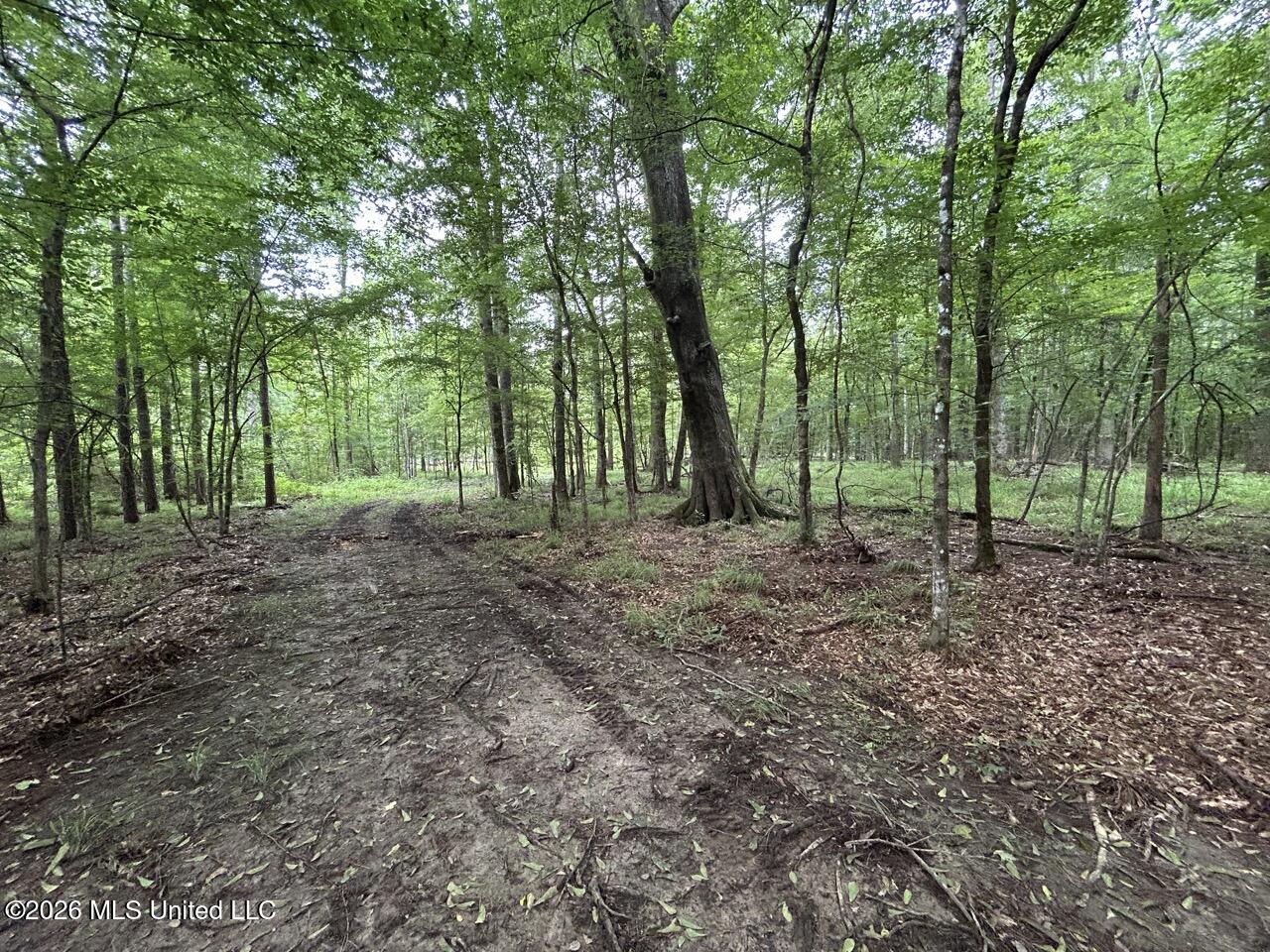 6643 Grange Hall Road Property Photo 18