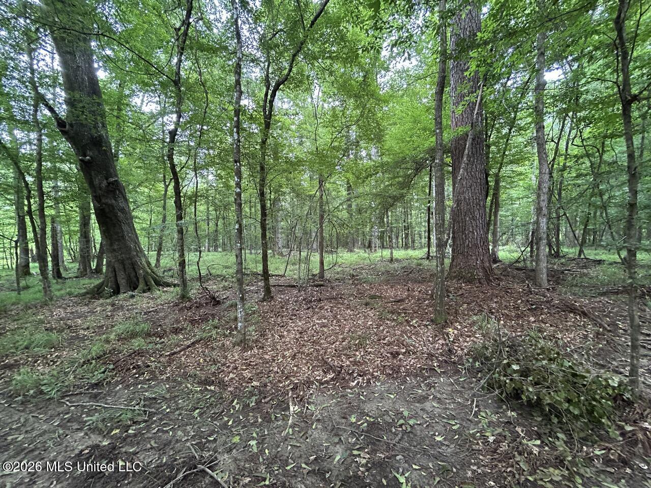6643 Grange Hall Road Property Photo 19