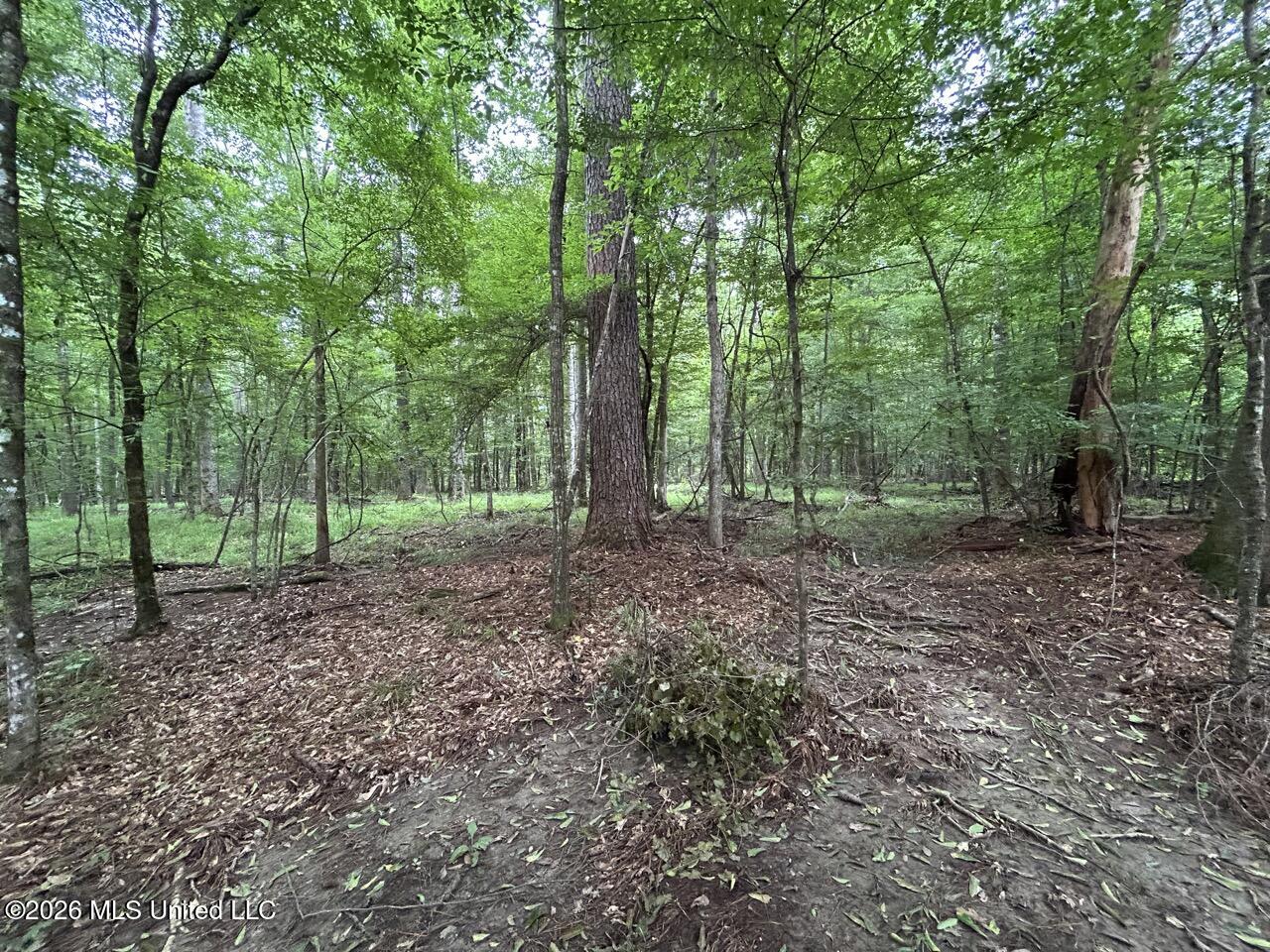6643 Grange Hall Road Property Photo 20